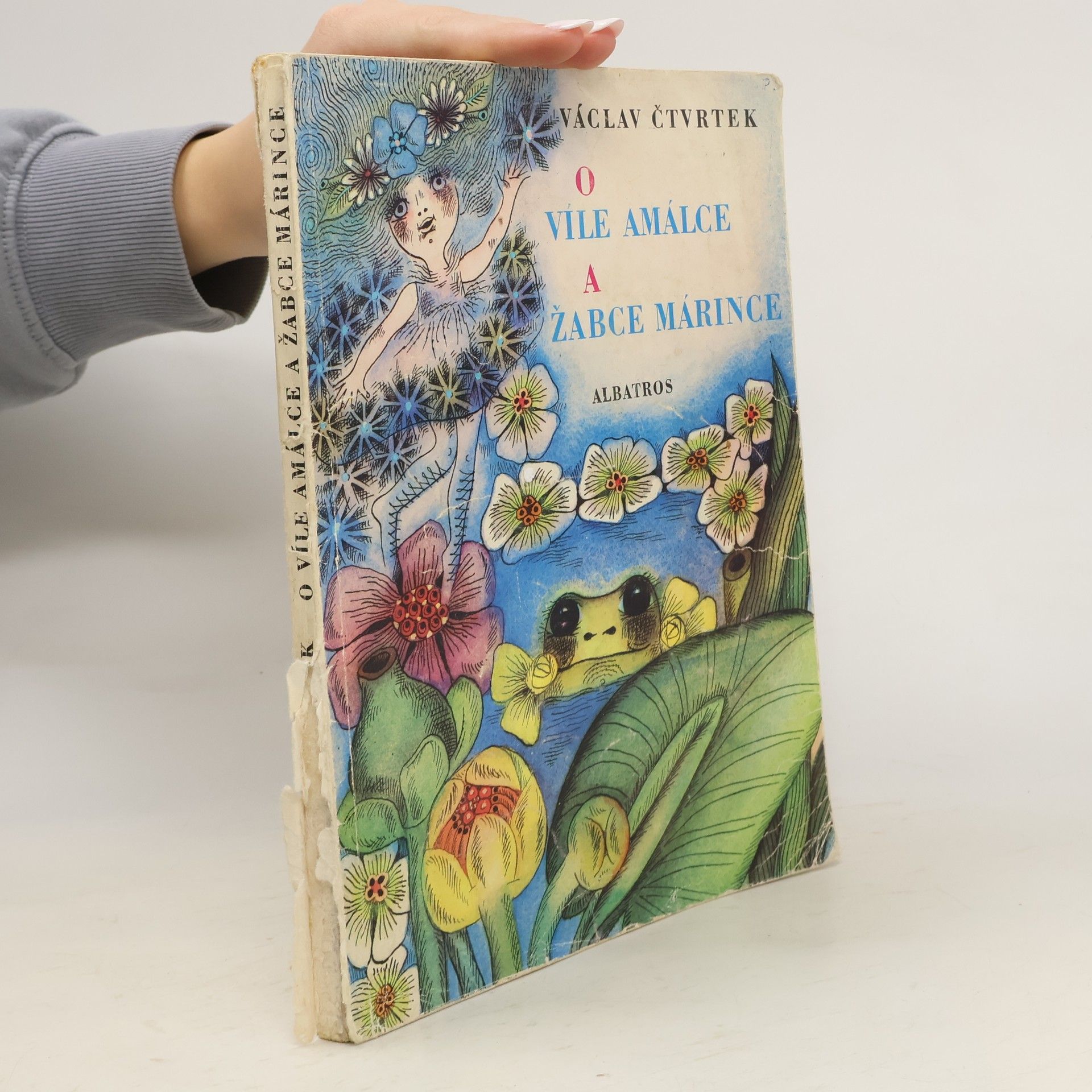 O víle Amálce a žabce Márince