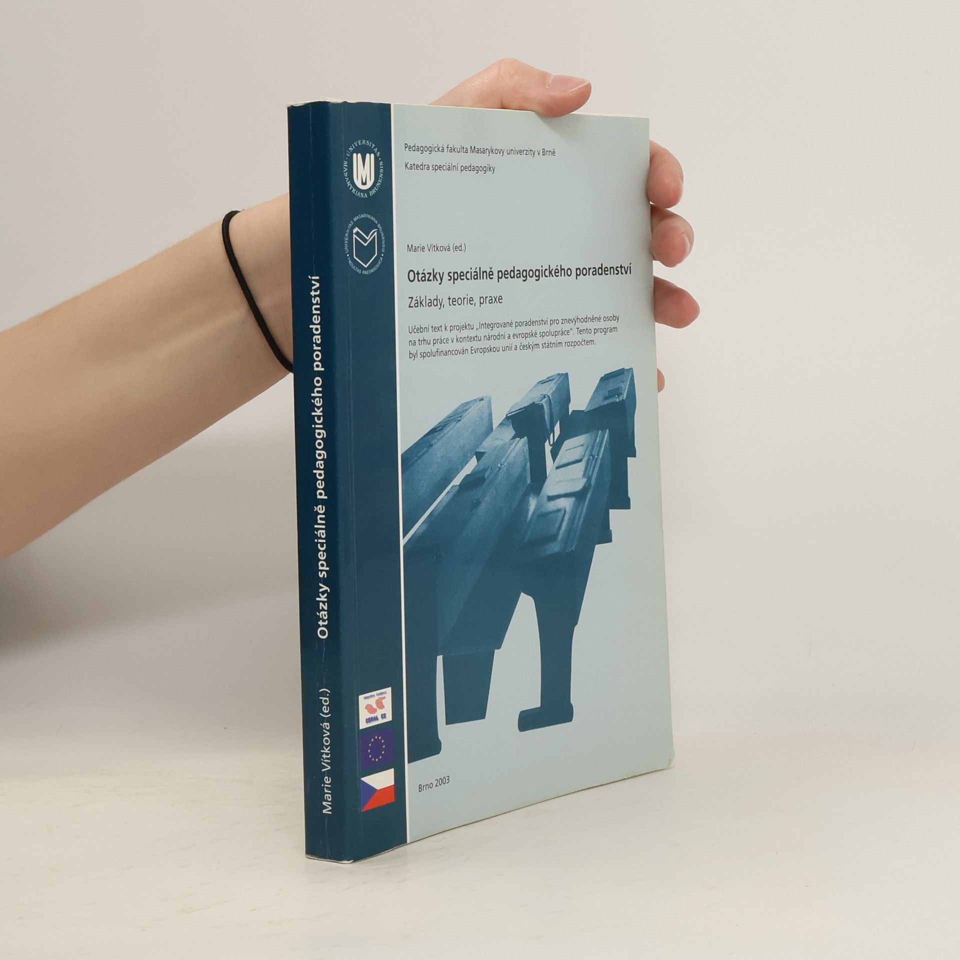 Otázky speciálně pedagogického poradenství