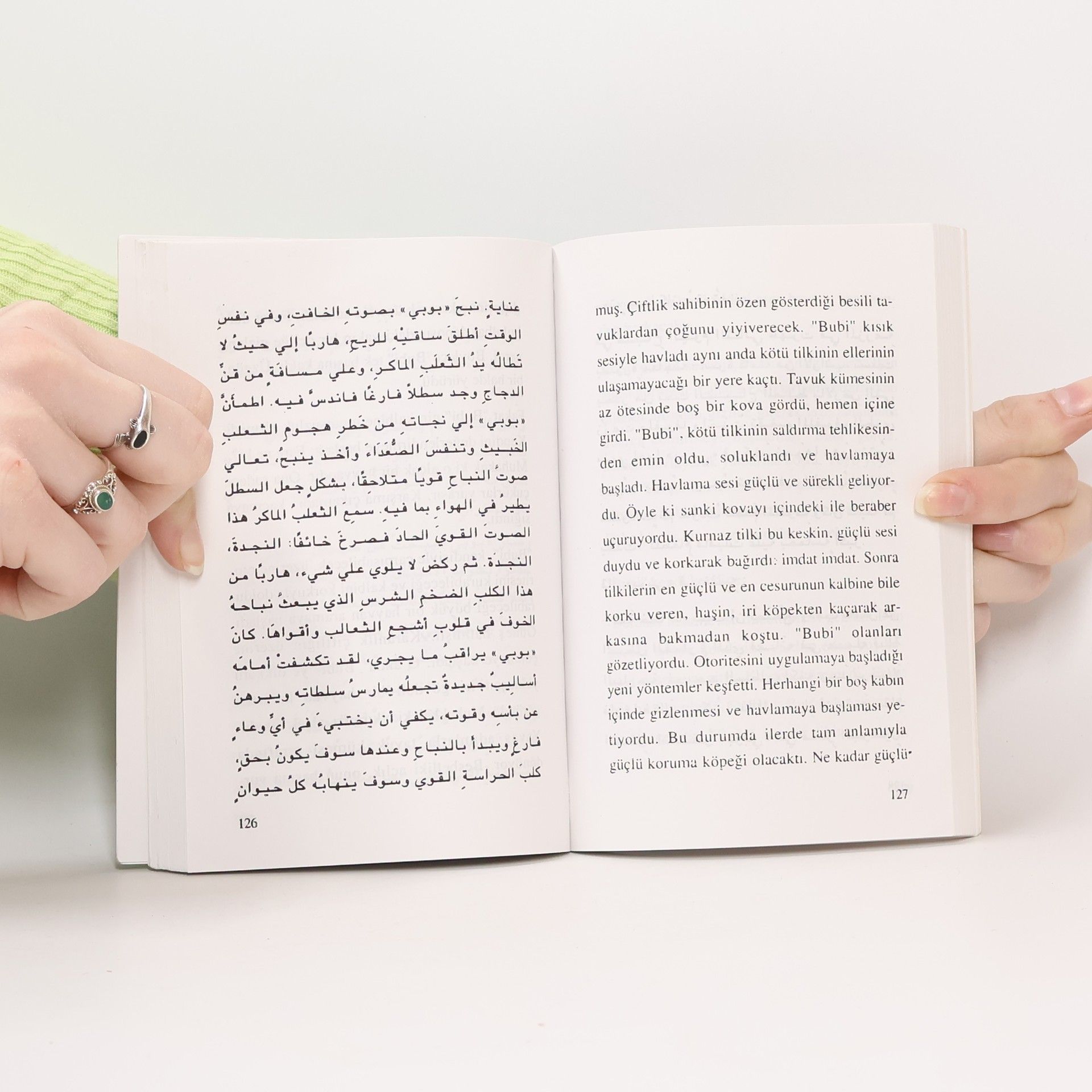 Collectif d'auteurs Kirmizi Ayakkabili Kedi-Arapaca/Turkce Hikayeler