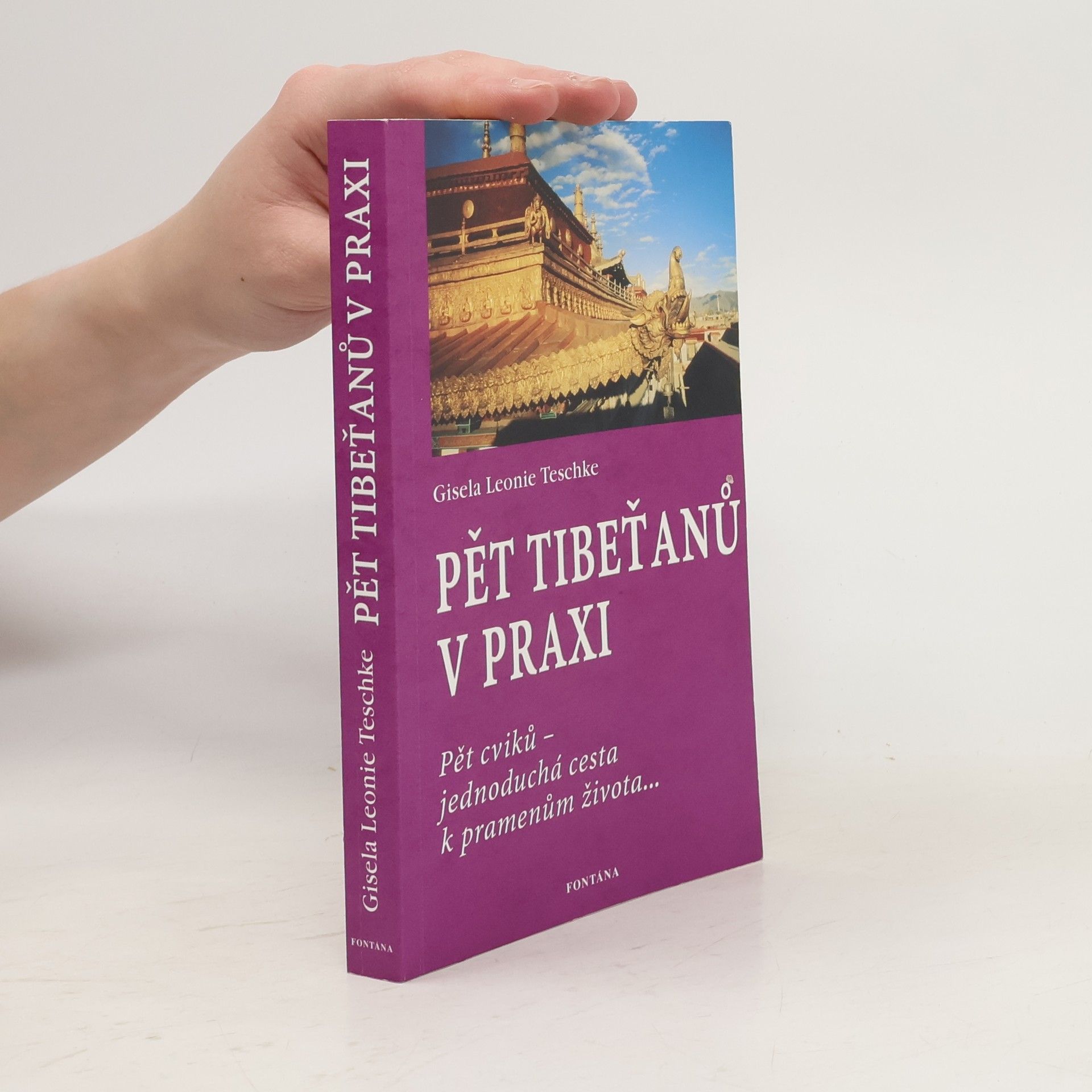 Gisela Leonie Teschke Pět Tibeťanů v praxi
