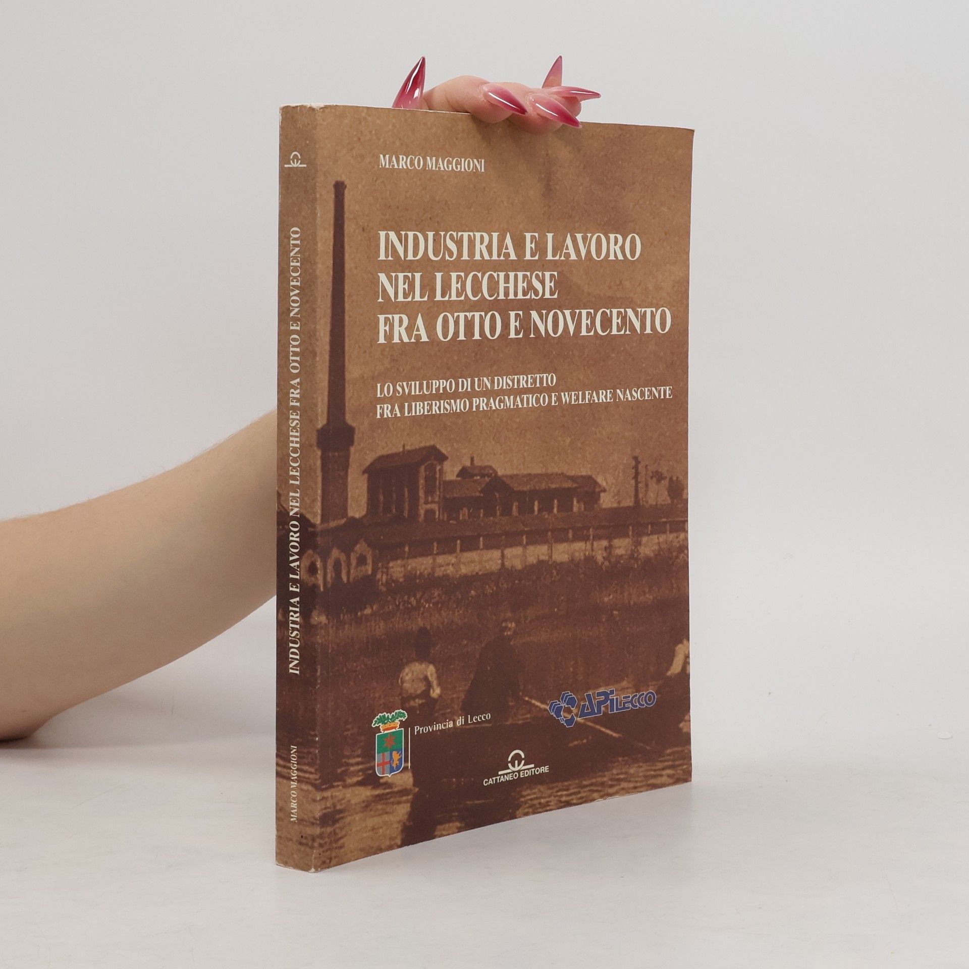 Marco Maggioni Industria e lavoro nel Lecchese fra Otto e Novecento