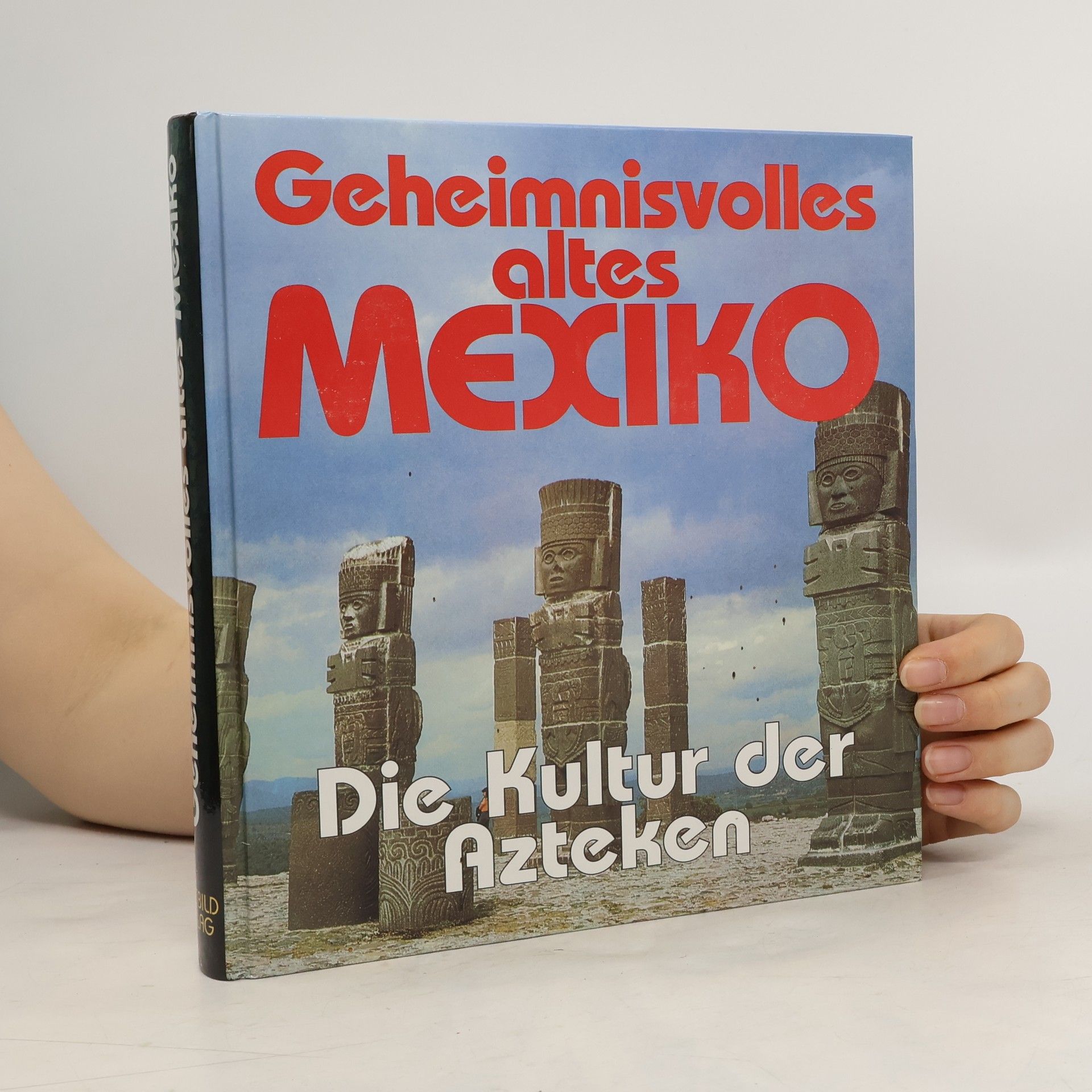 Arne Eggebrecht Geheimnisvolles altes Mexiko