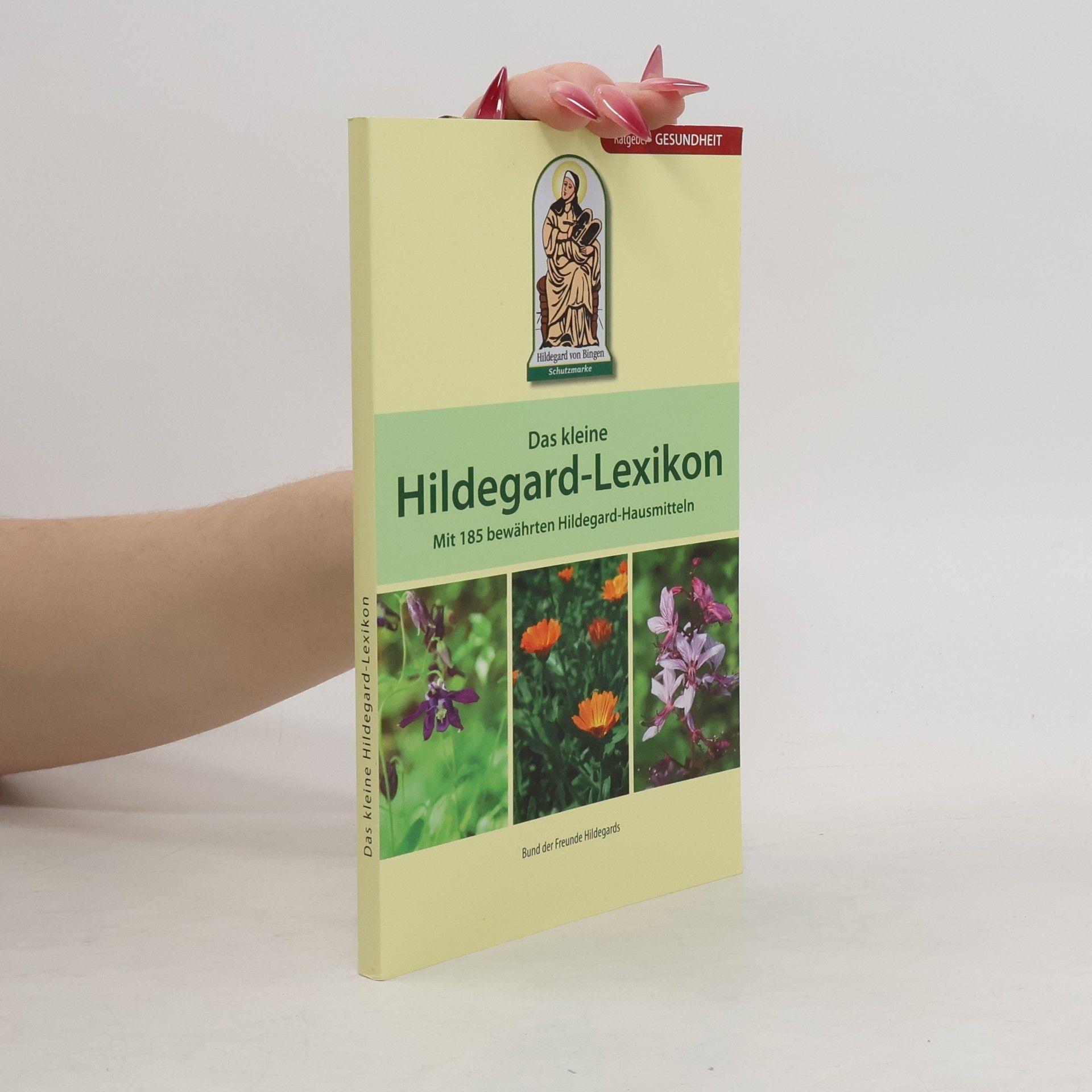 Autorenkollektiv Das Kleines Hildegard-Lexikon