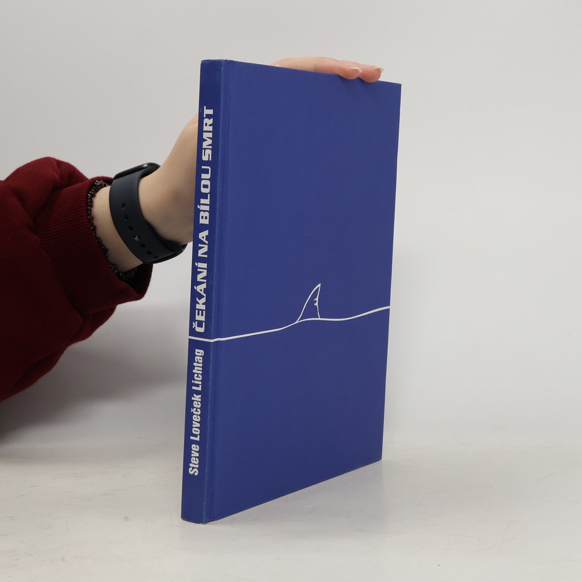 Steve Lichtag Čekání na bílou smrt