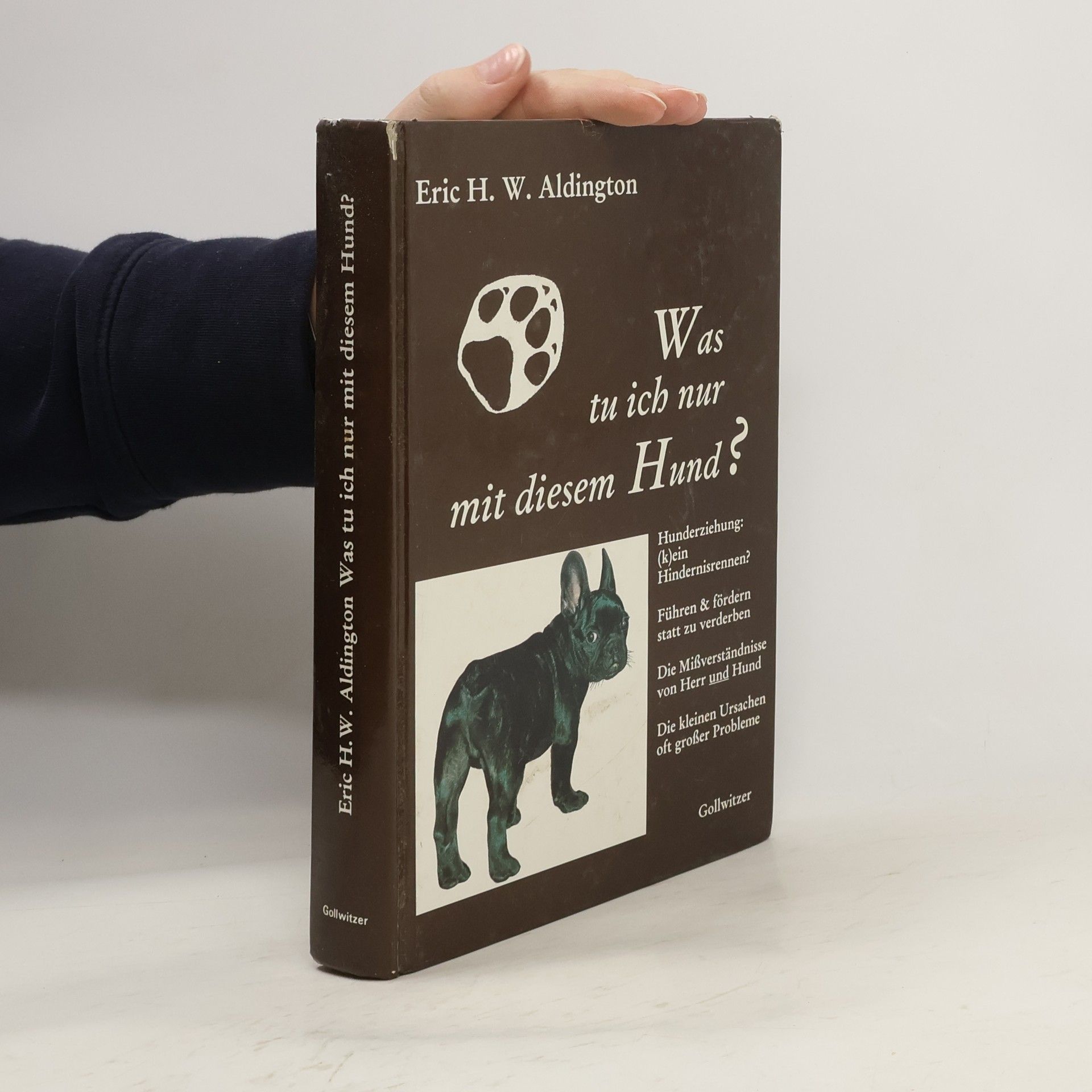 Was tu ich nur mit diesem Hund?