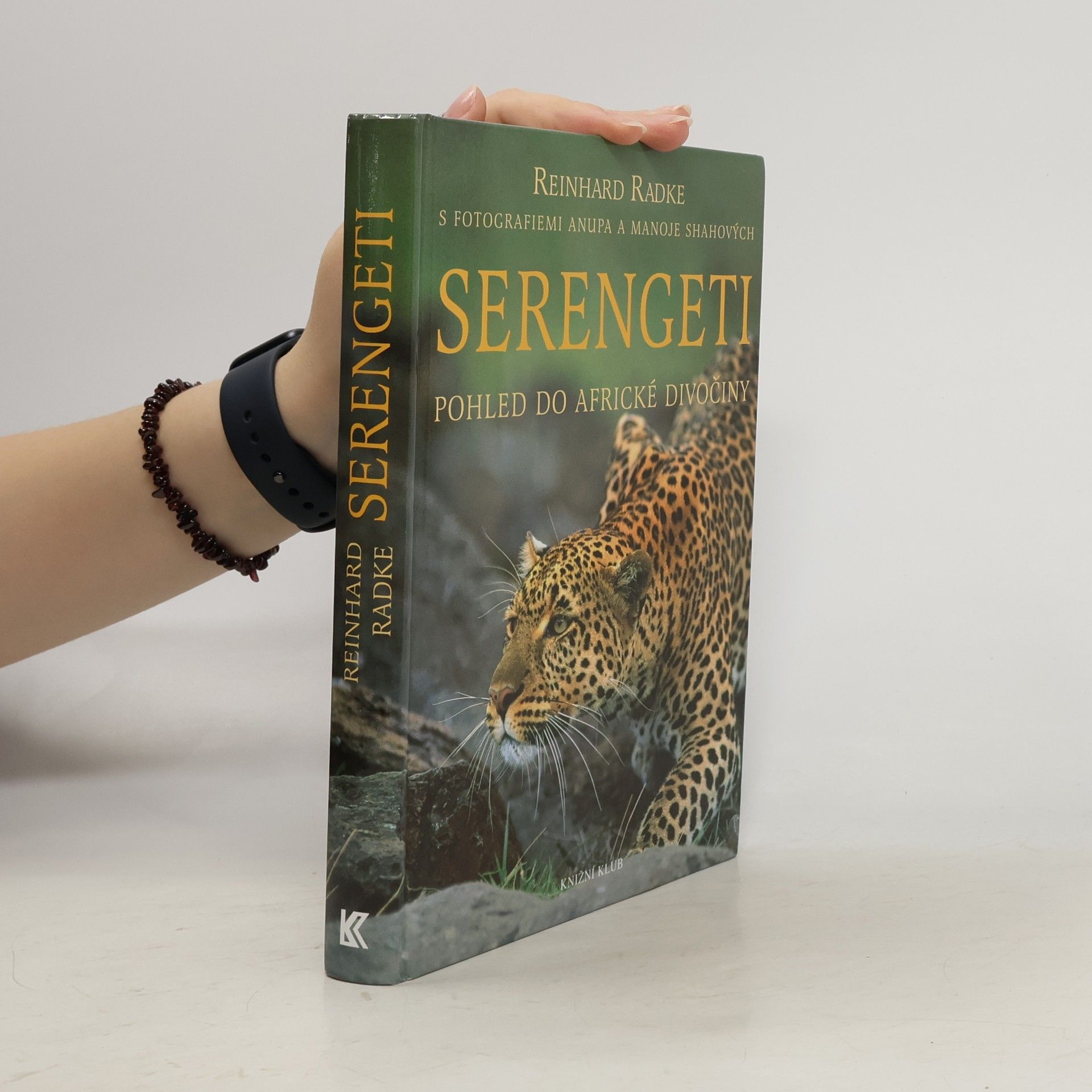 Serengeti : pohled do africké divočiny