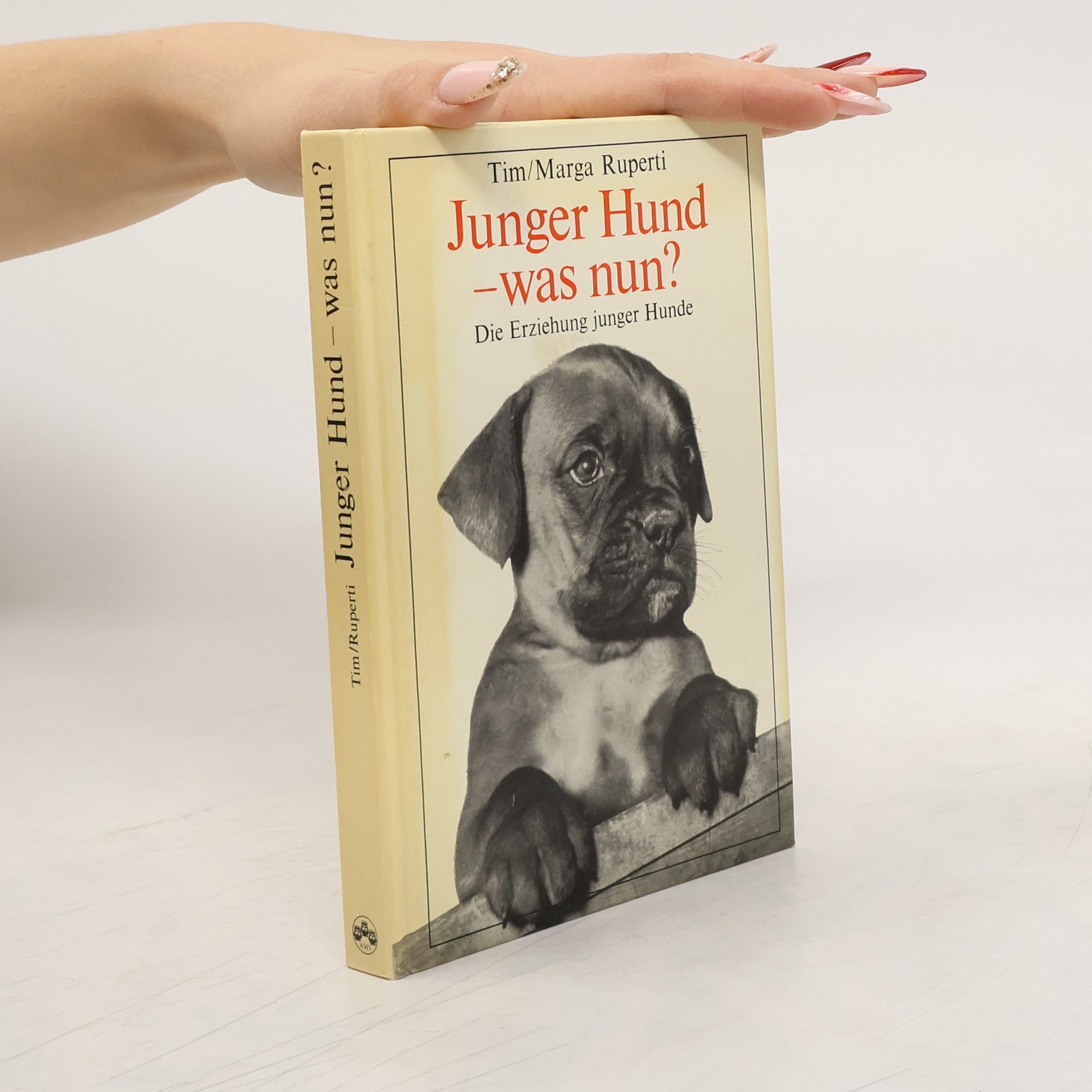 Tim Junger Hund, was nun?