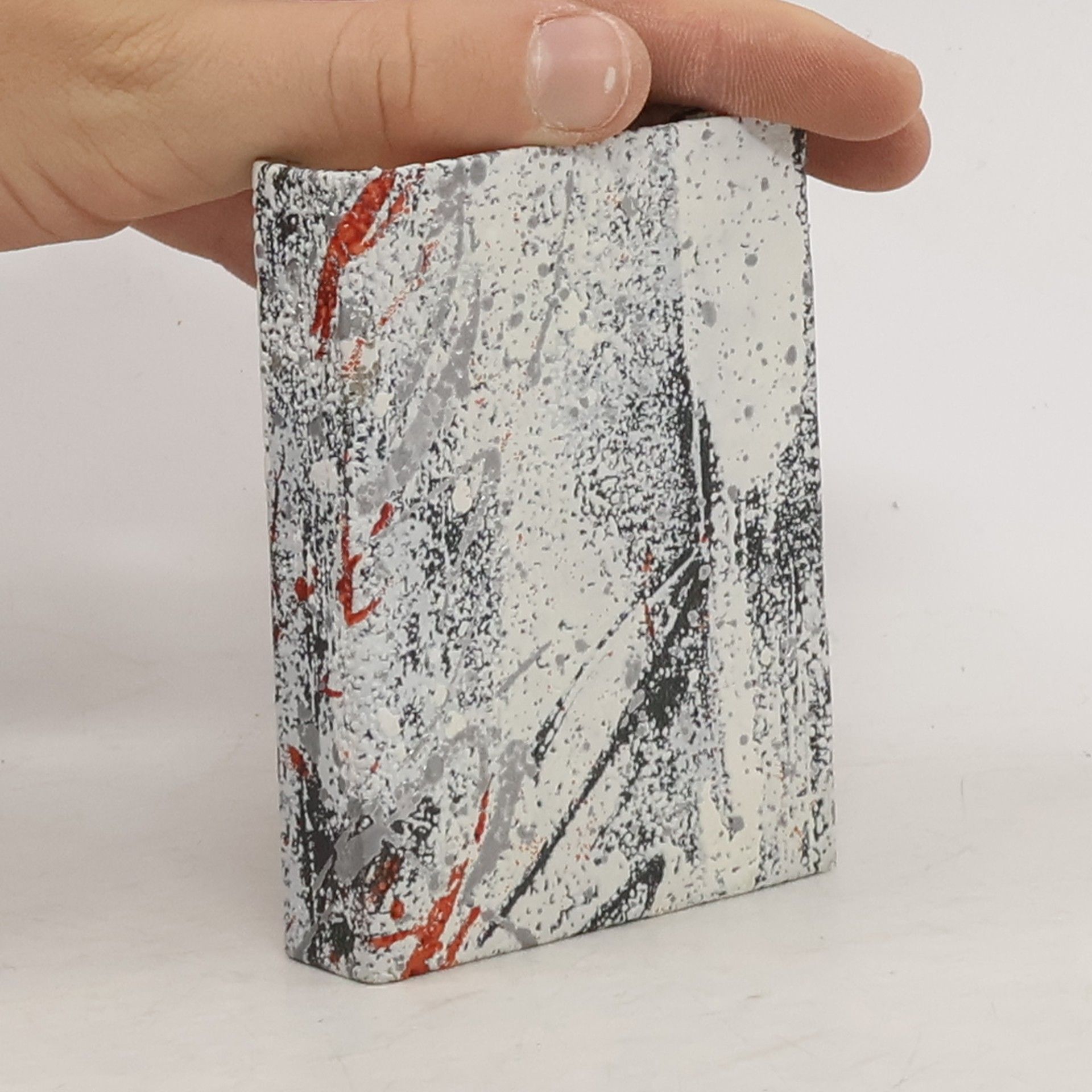 Svatava Šlajchrtová Do tmy a do ticha