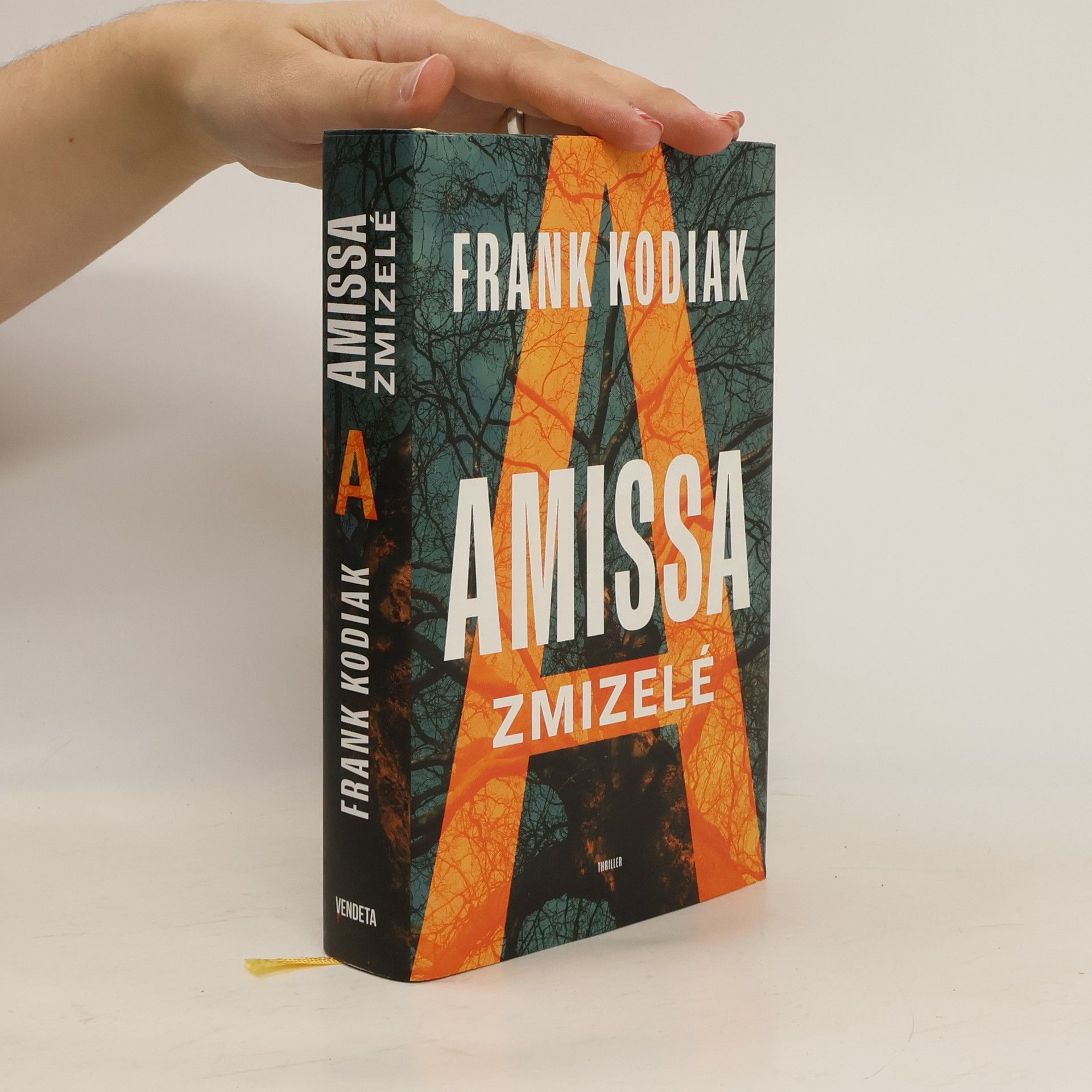 Hendrik Winter Amissa. Zmizelé