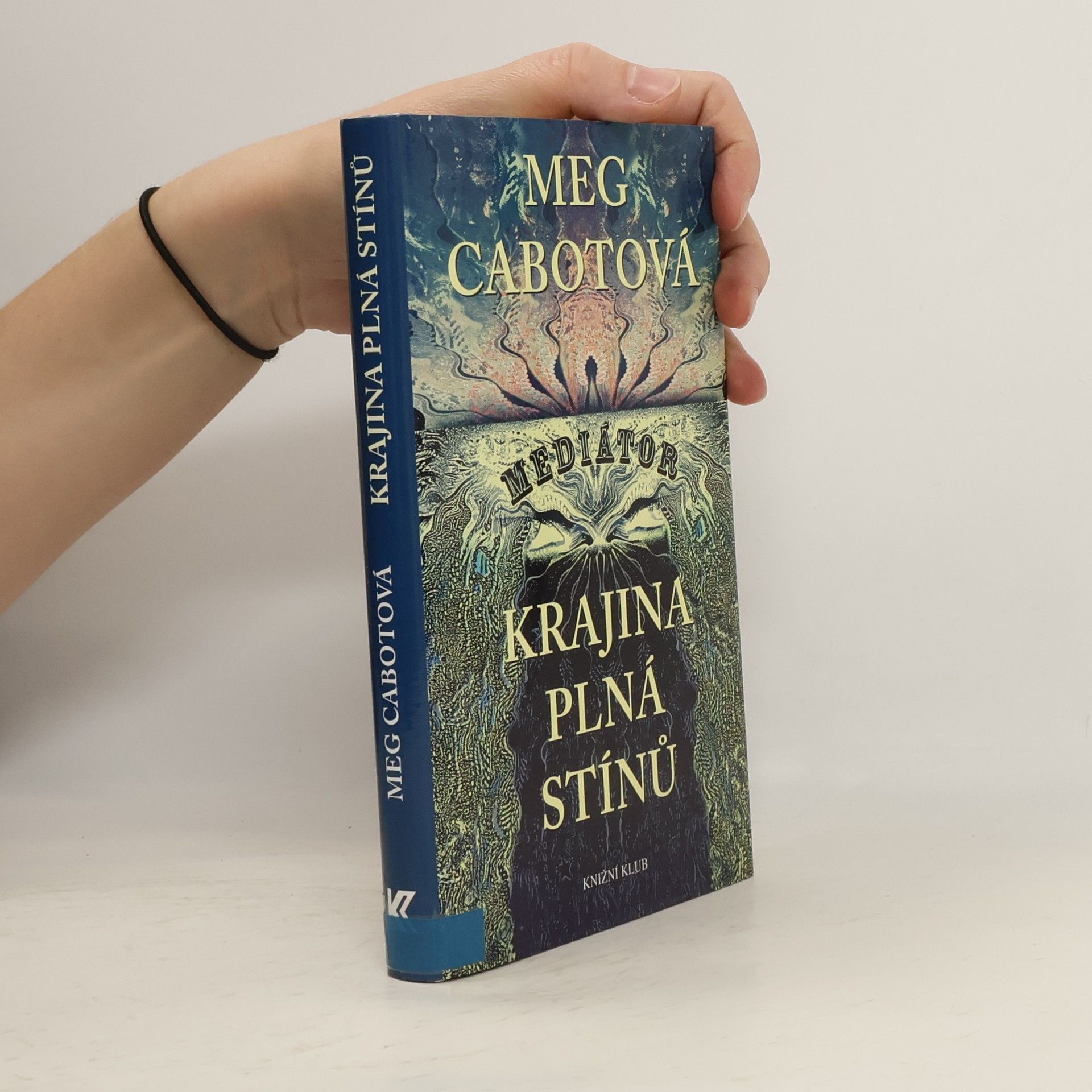 Patricia Cabot Krajina plná stínů. Mediátor 1
