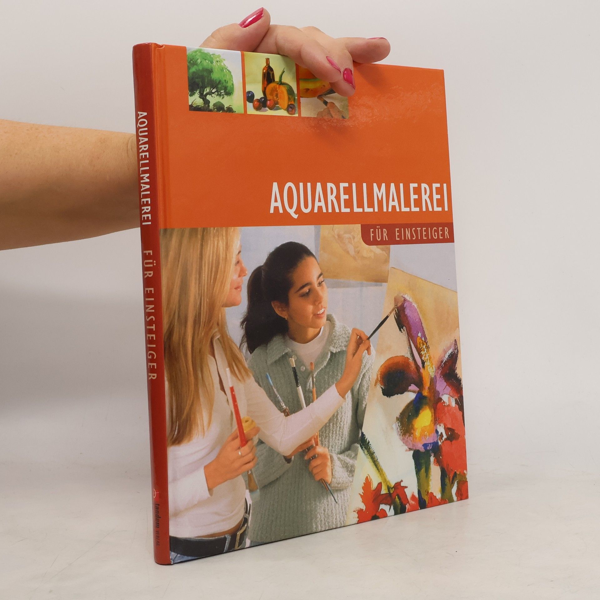 Francisco Asensio Cerver Aquarellmalerei für Einsteiger