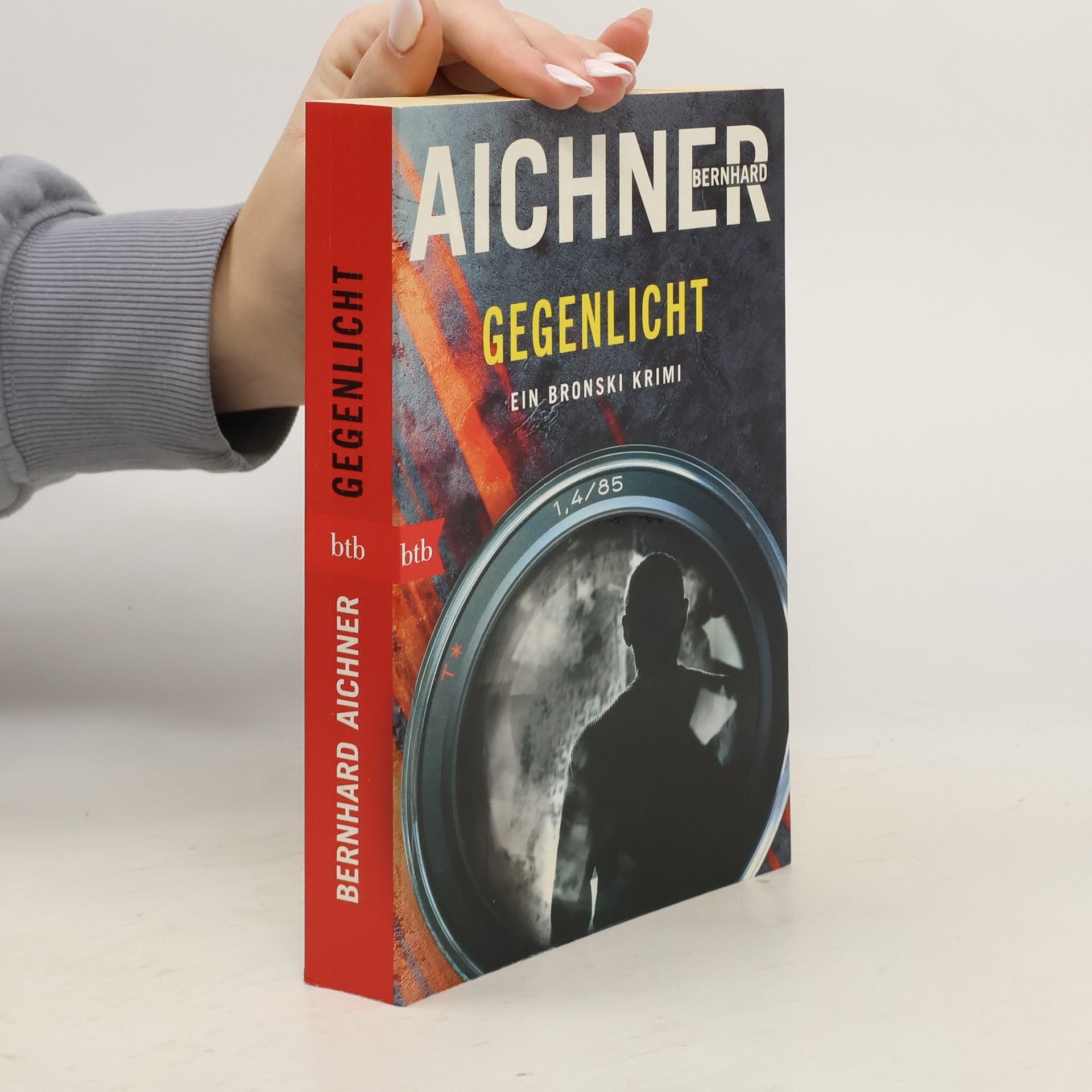 Bernhard Aichner Gegenlicht