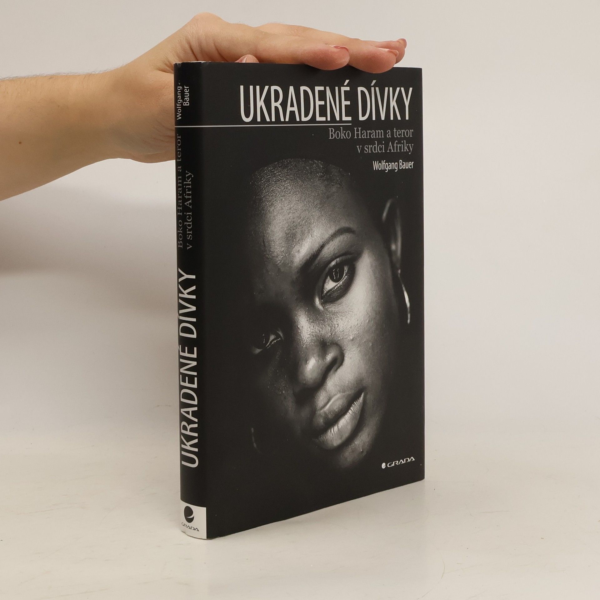 Wolfgang Bauer Ukradené dívky: Boko Haram a teror v srdci Afriky