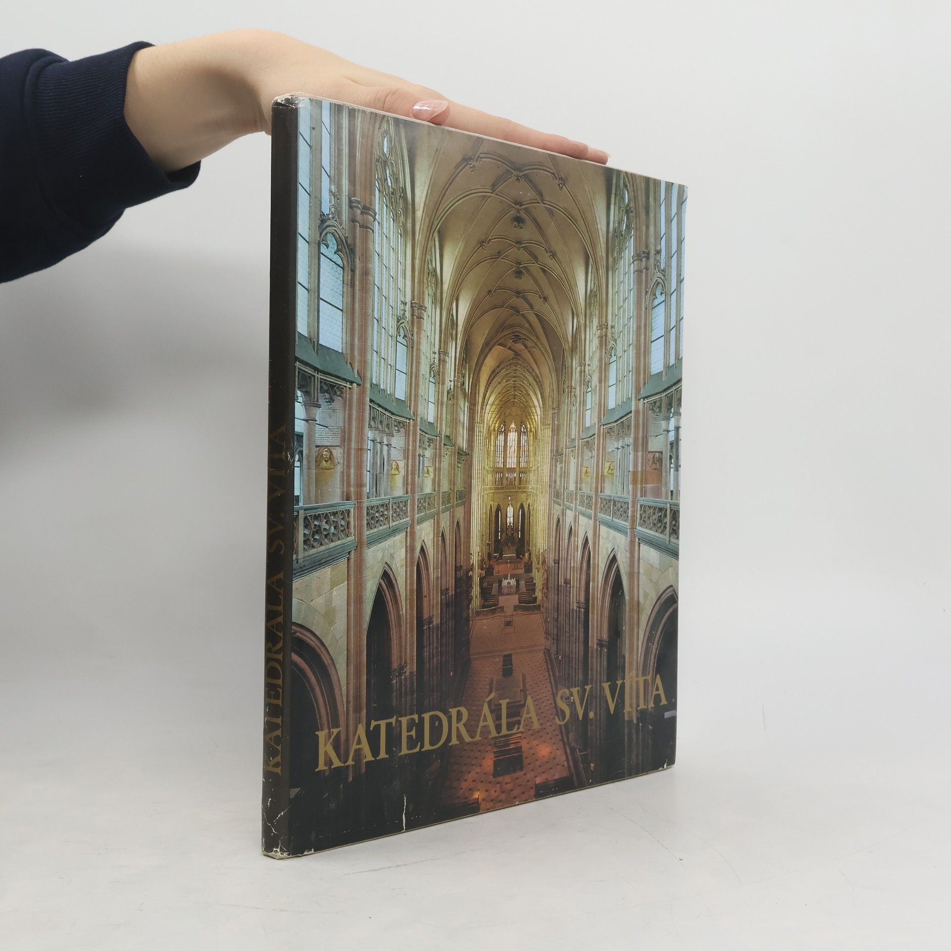 Jiří Burian Katedrála sv. Víta