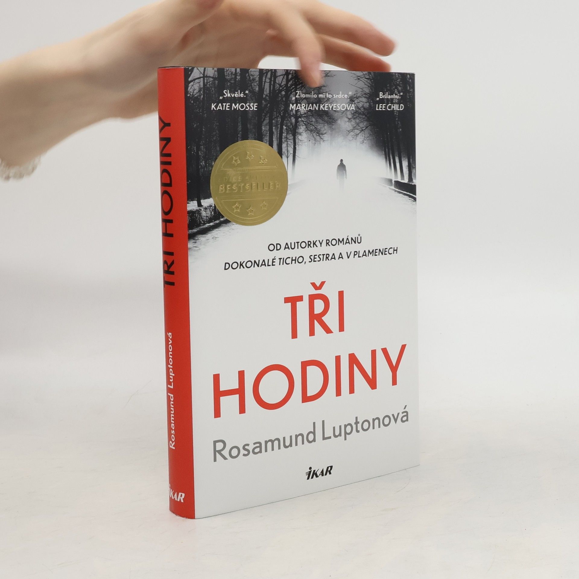 Rosamund Lupton Tři hodiny