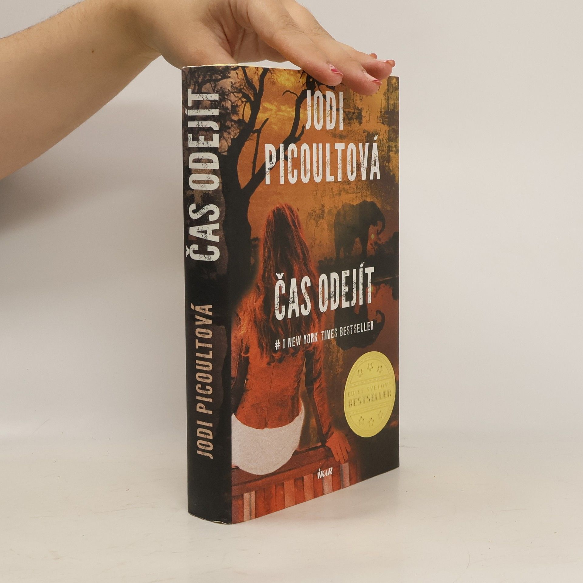 Jodi Picoult Čas odejít