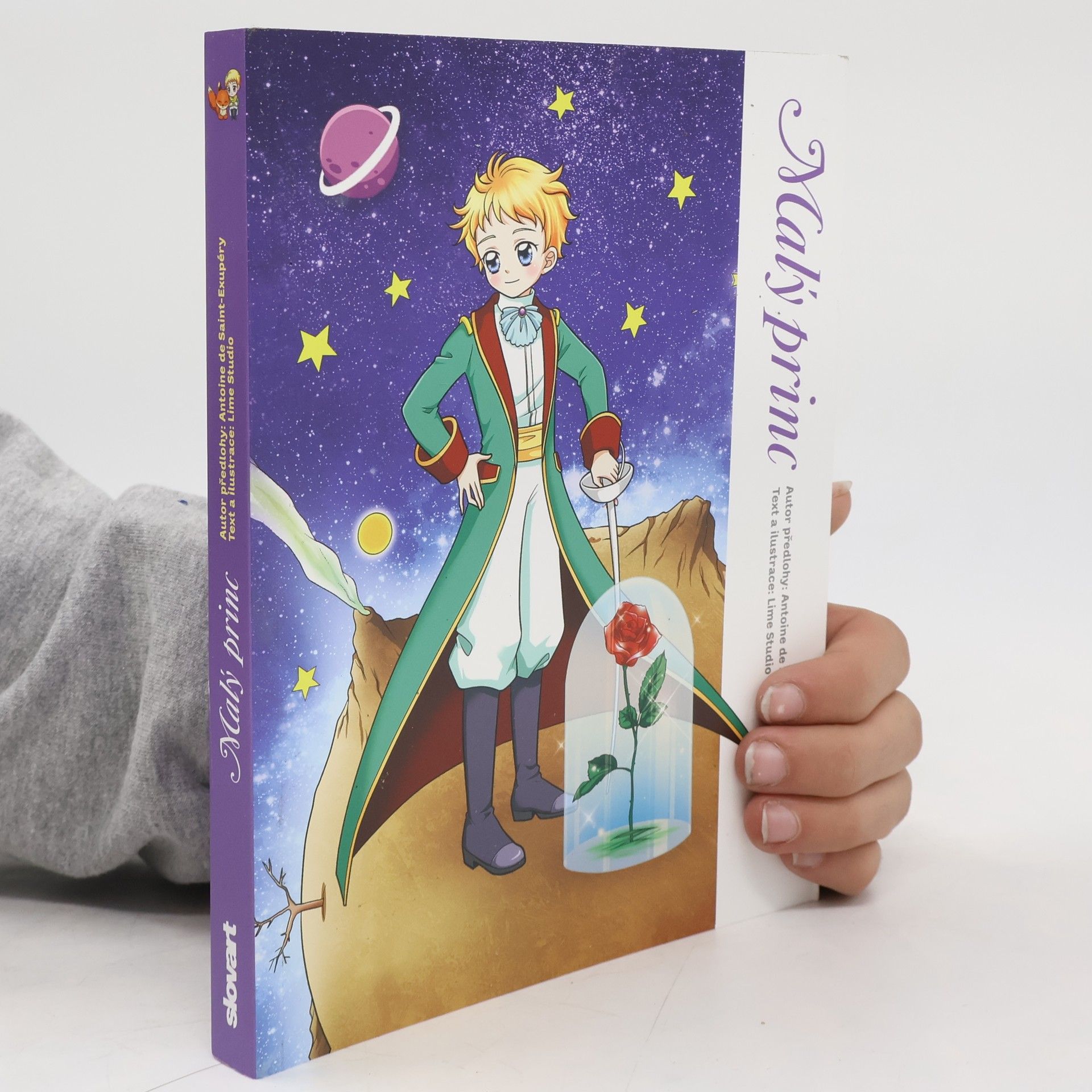 Vladislava Mazaná Malý princ