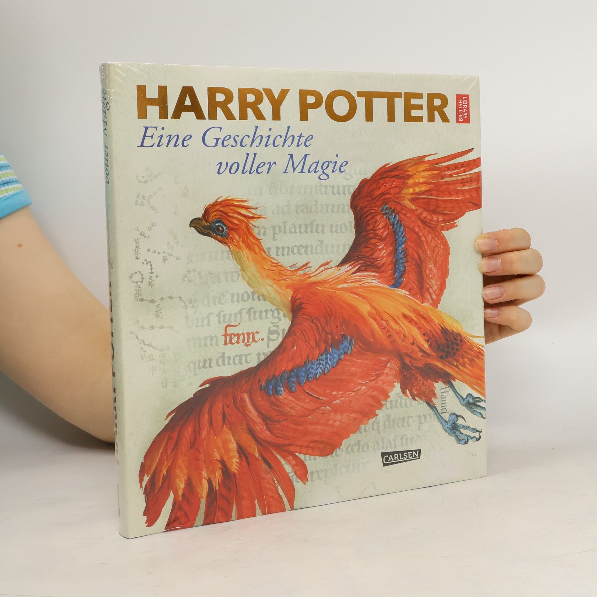 Harry Potter: eine Geschichte voller Magie