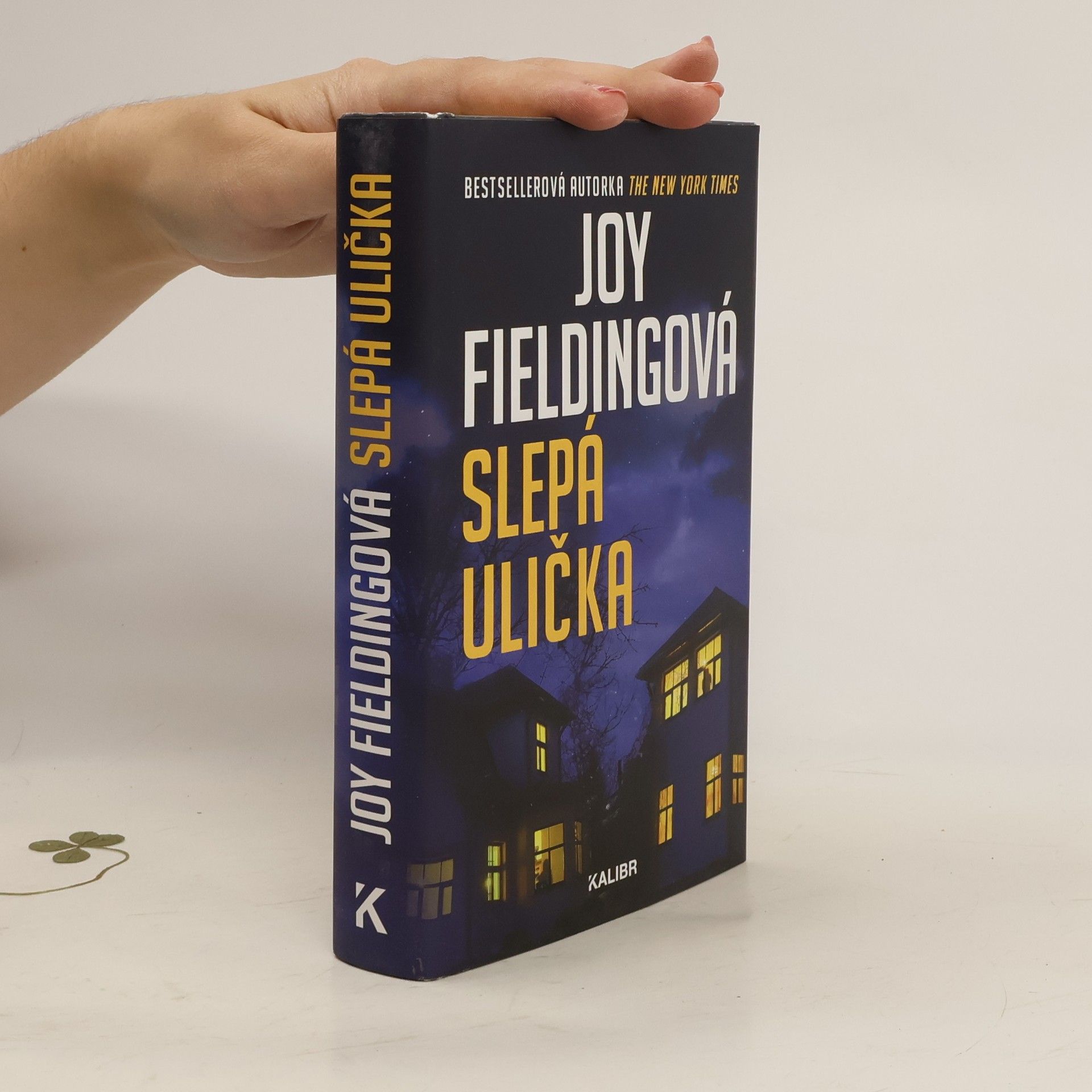Joy Fielding Slepá ulička