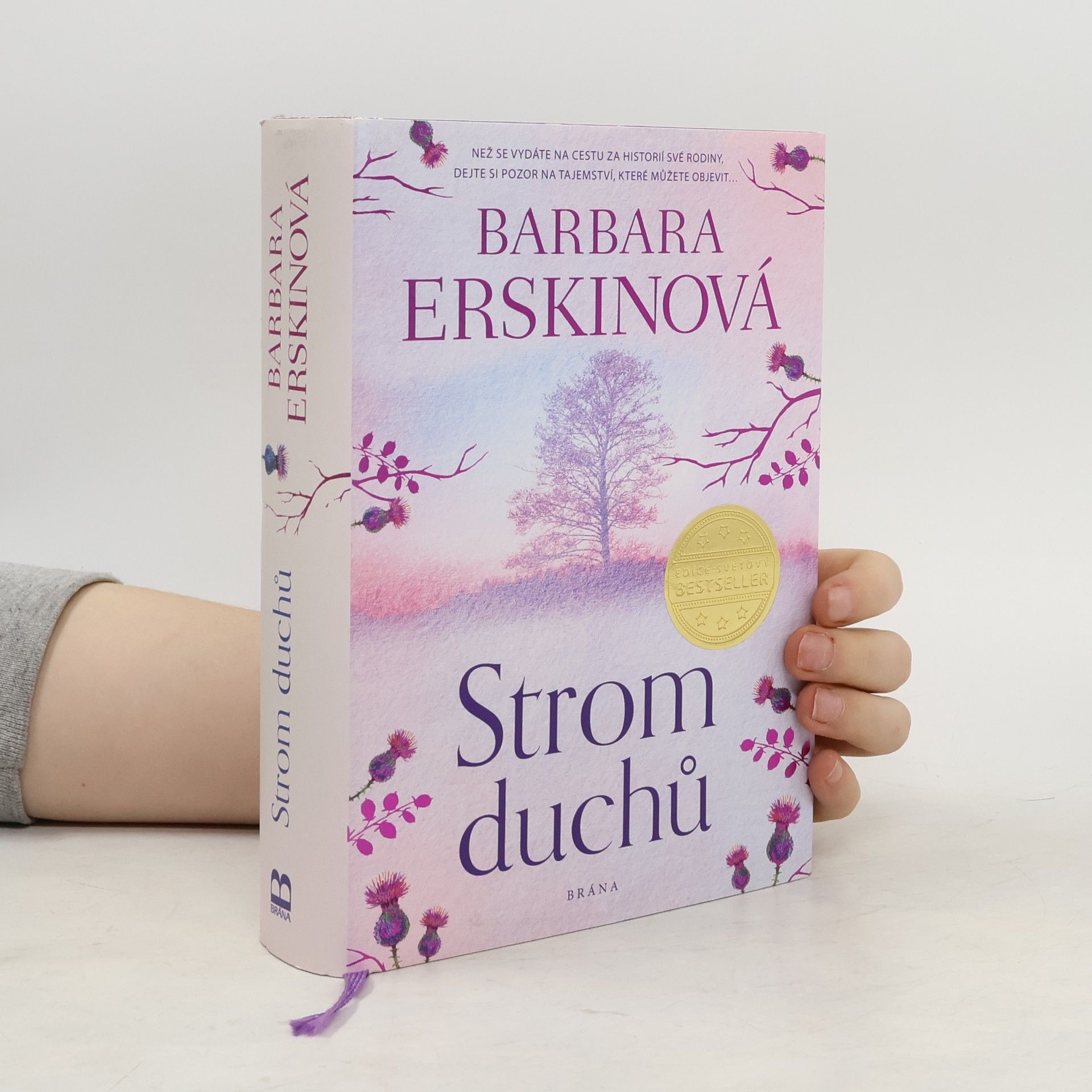 Barbara Erskine Strom duchů