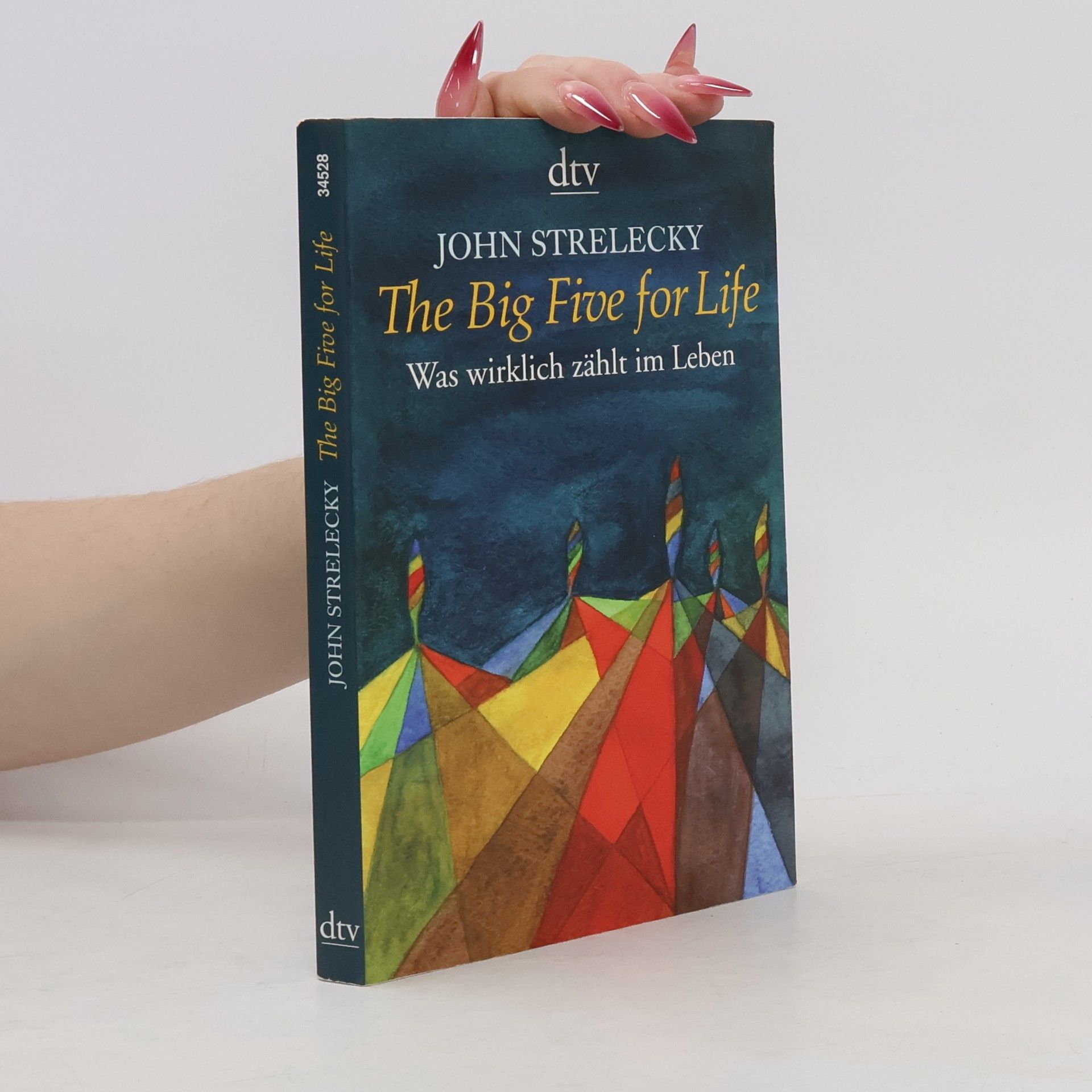 John Strelecky The big five for life. Was wirklich zählt im Leben.