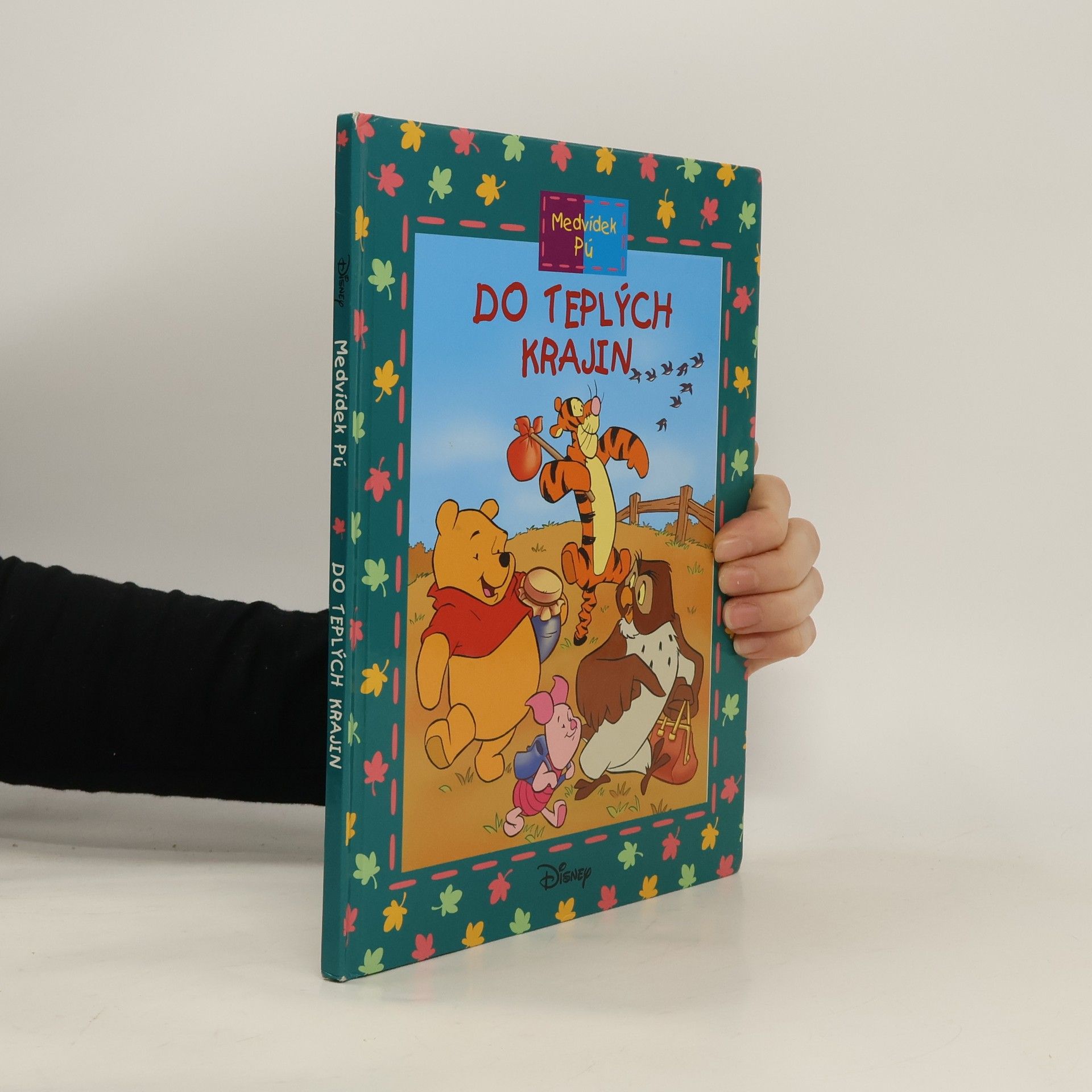 Ysenda May Maxtone Graham Medvídek Pú: Do teplých krajin