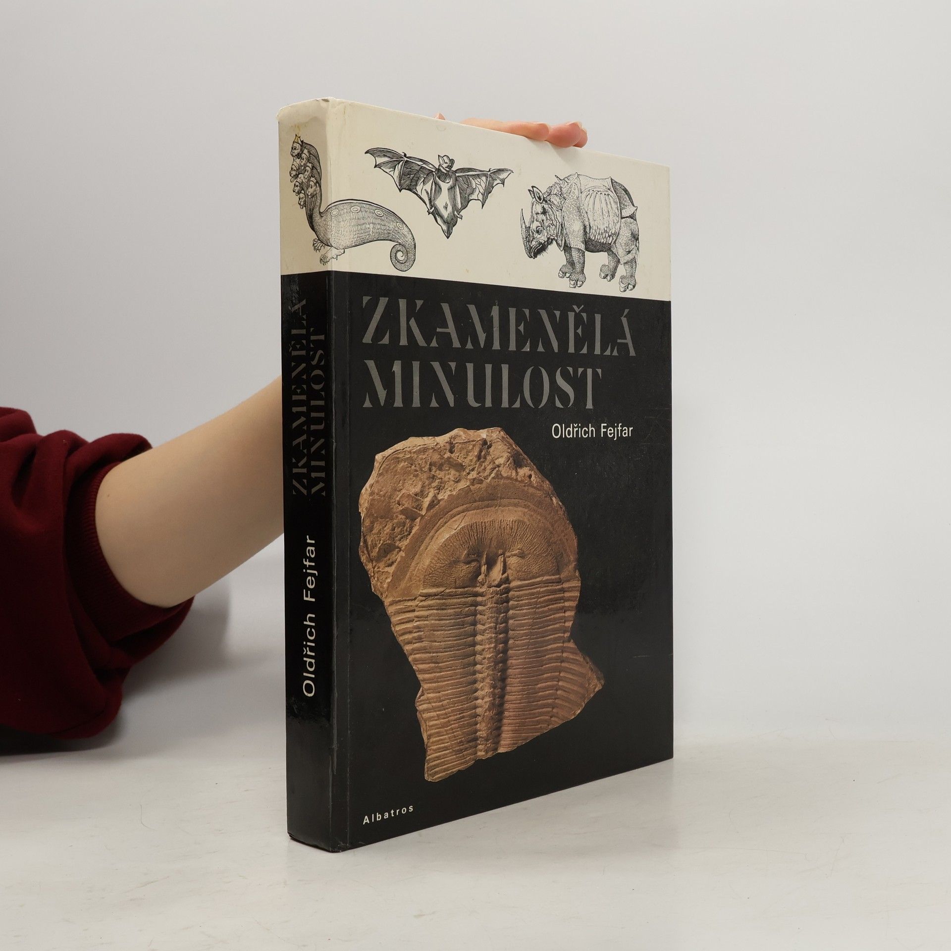 Zkamenělá minulost