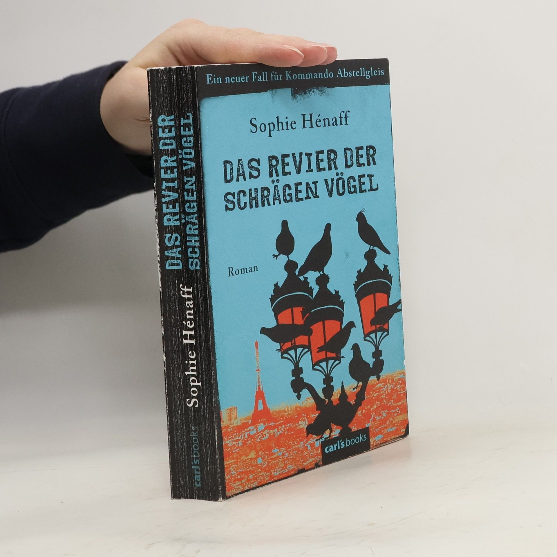 Sophie Hénaff Das Revier der schrägen Vögel