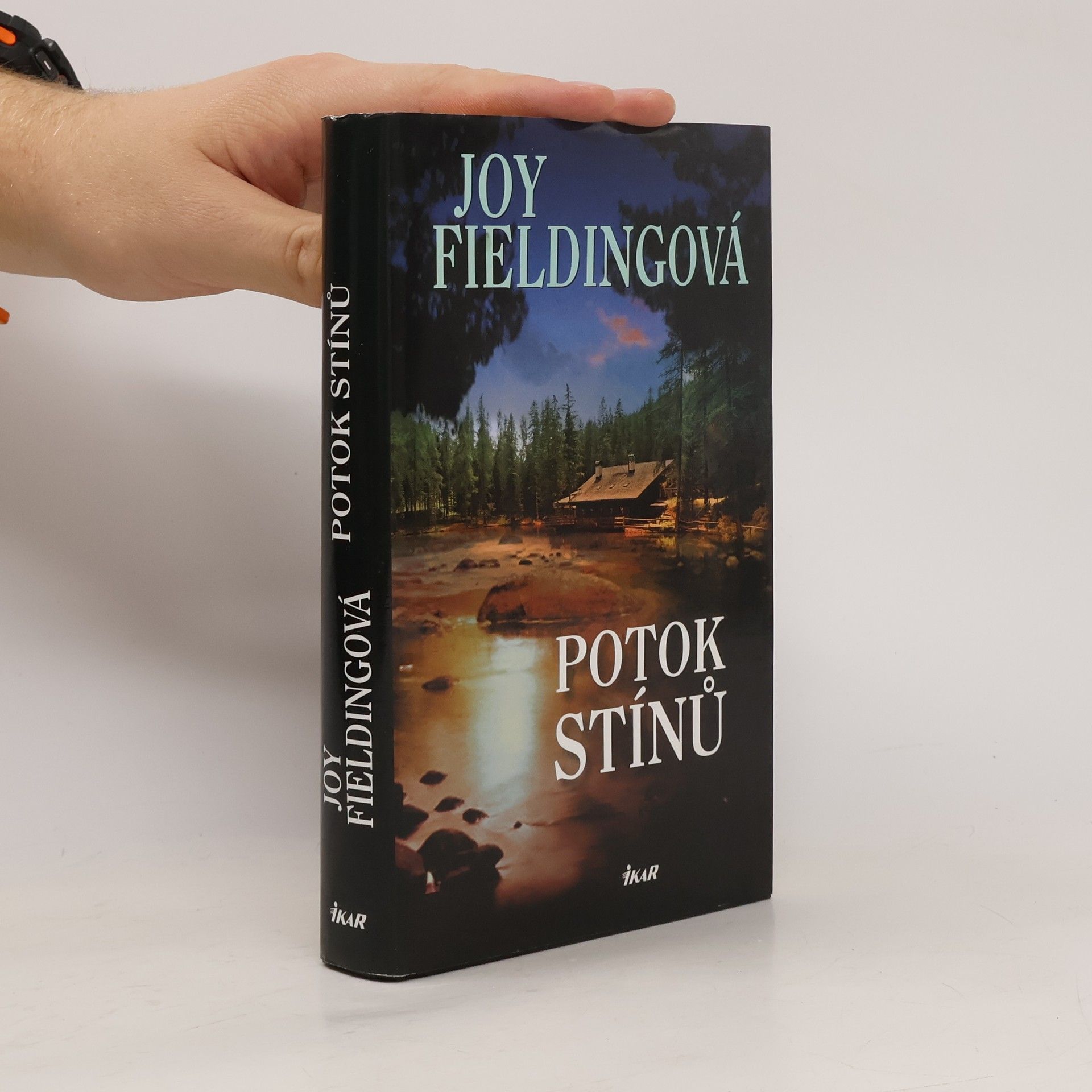 Joy Fielding Potok stínů