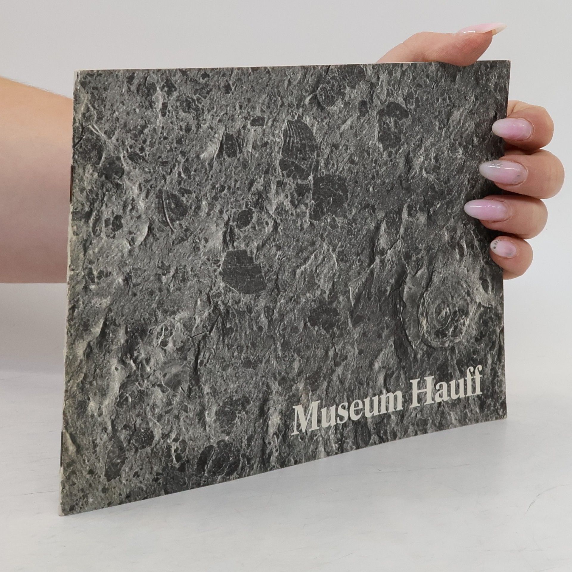 Autorenkollektiv Museum Hauff in Holzmaden/Teck