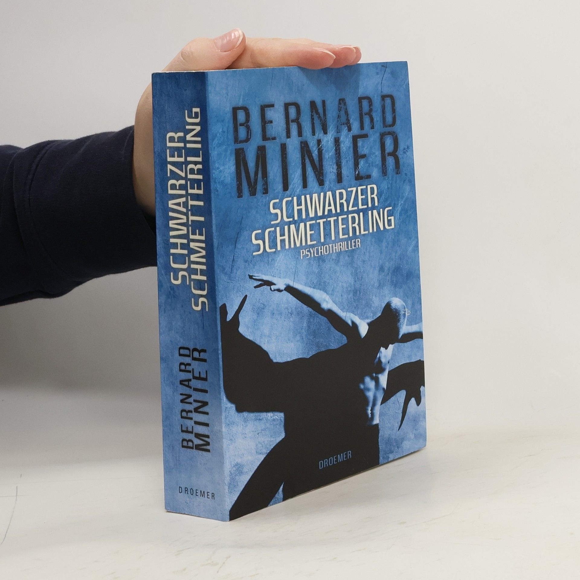 Bernard Minier Schwarzer Schmetterling