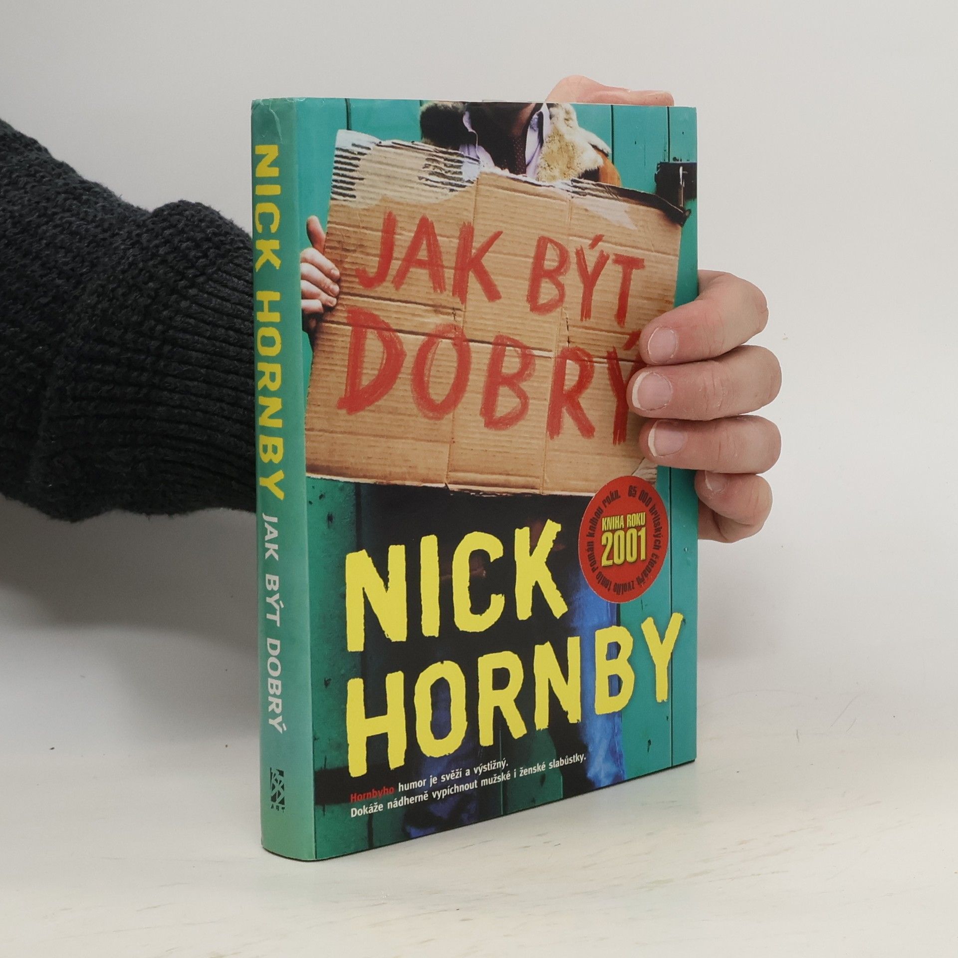 Nick Hornby Jak být dobrý