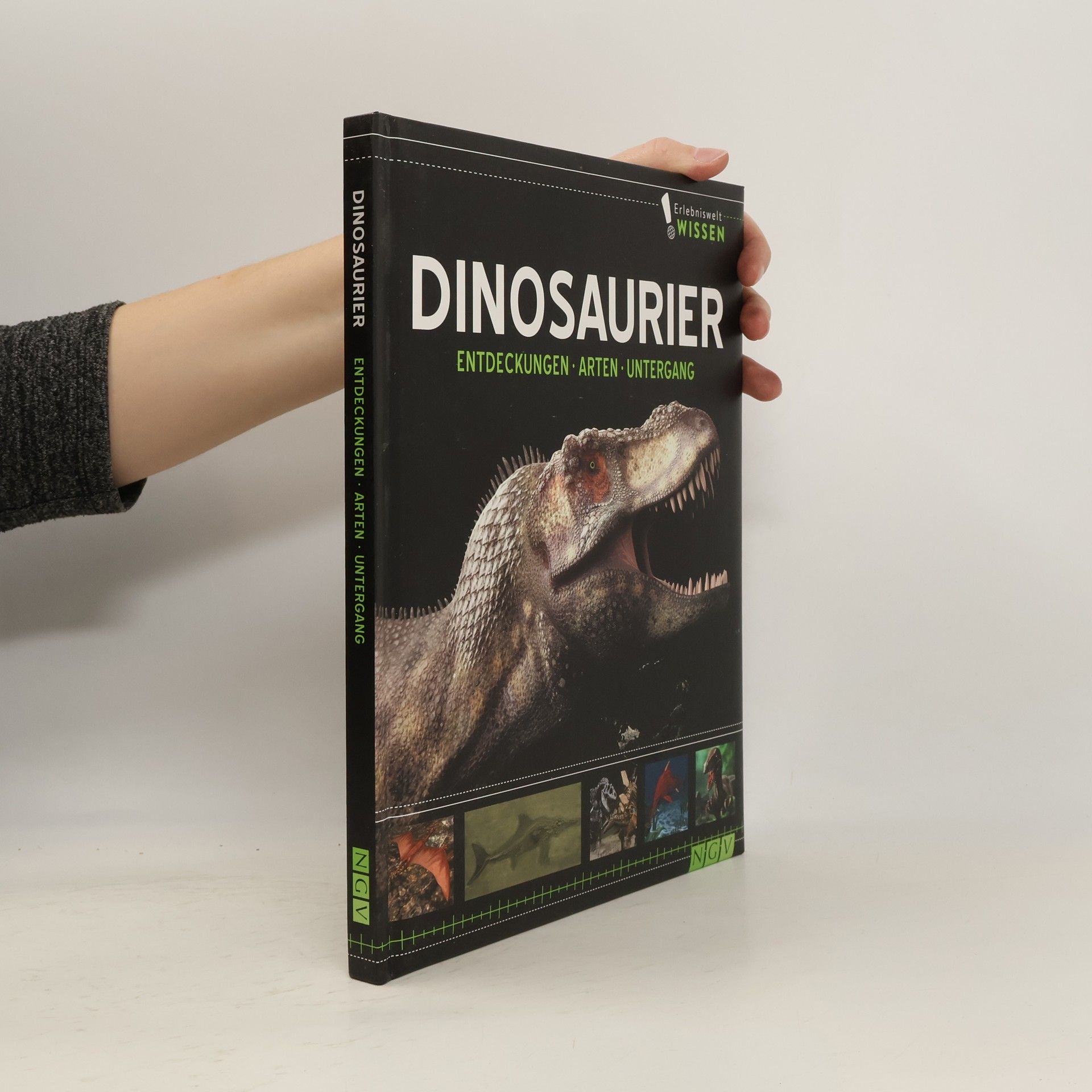 AA.VV. Dinosaurier