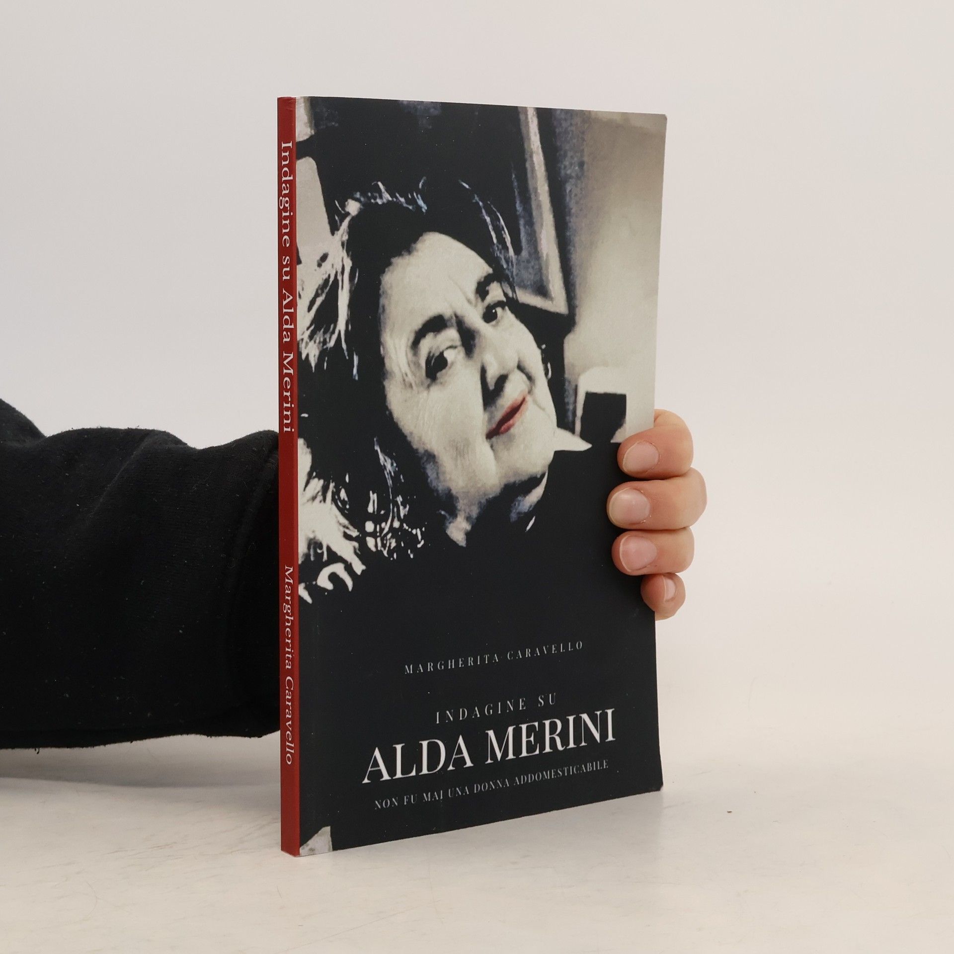 Margherita Caravello Indagine su Alda Merini