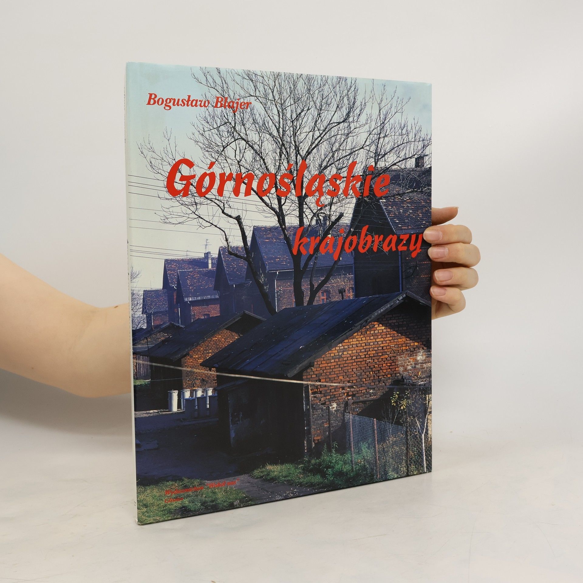 Górnośląskie krajobrazy