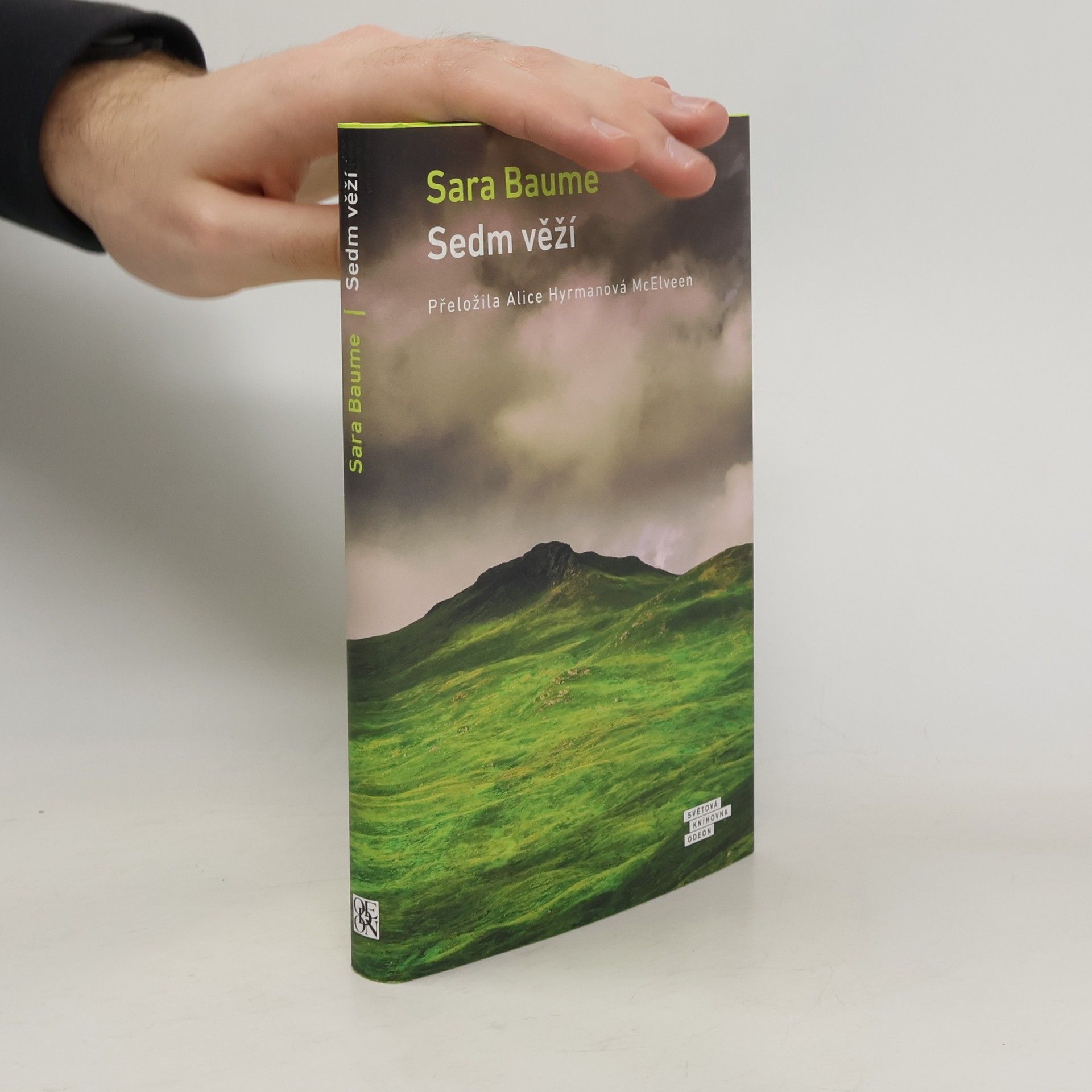 Sara Baume Sedm věží