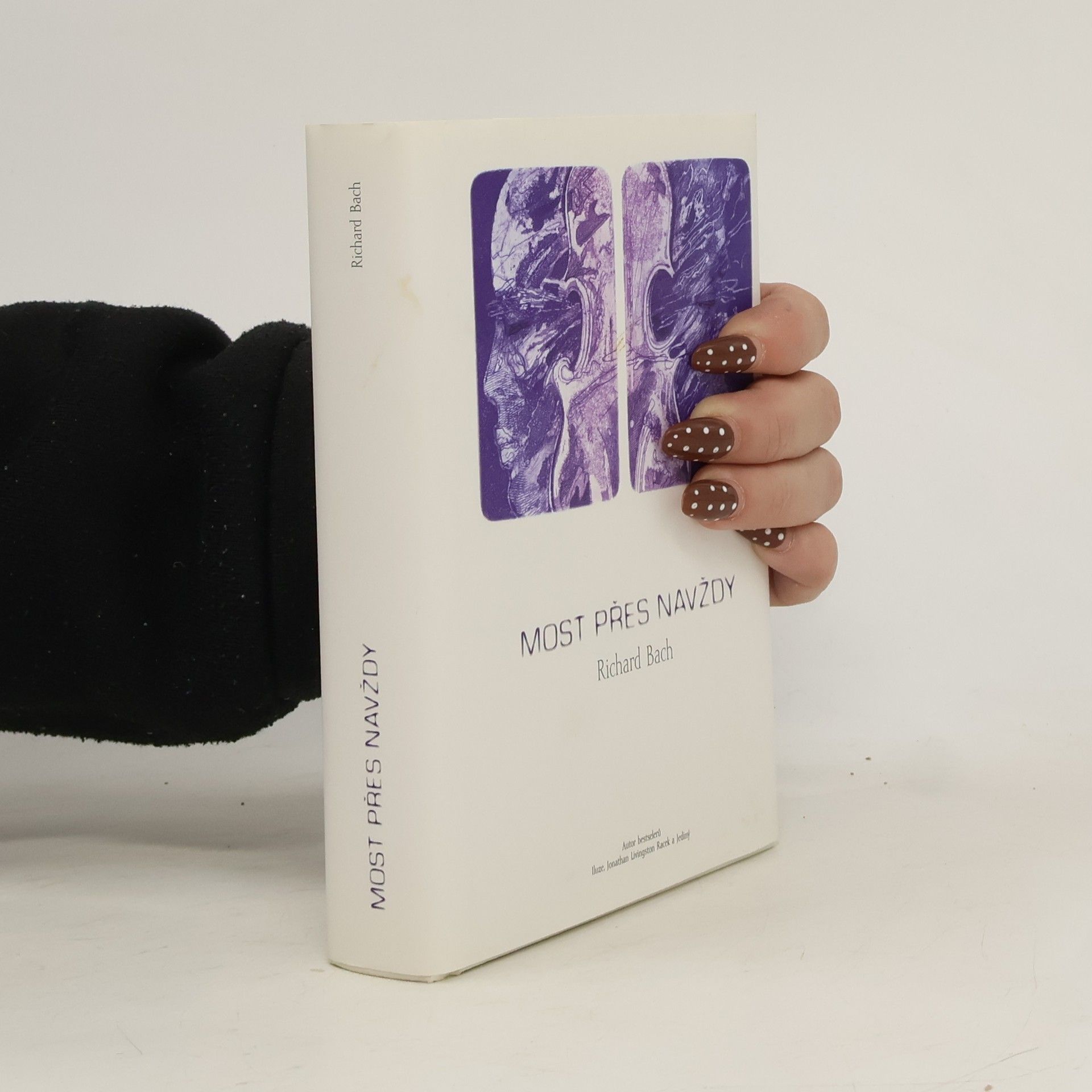 Richard Bach Most přes navždy