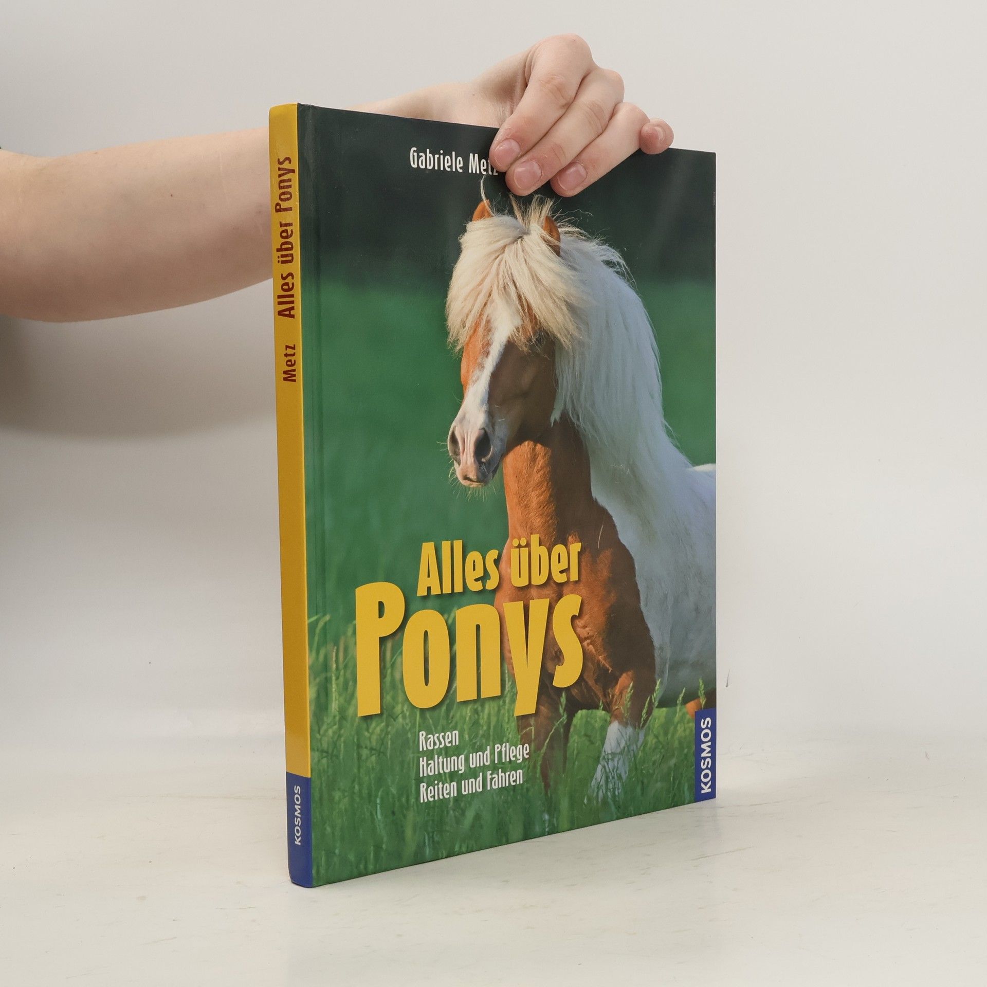 Alles über Ponys