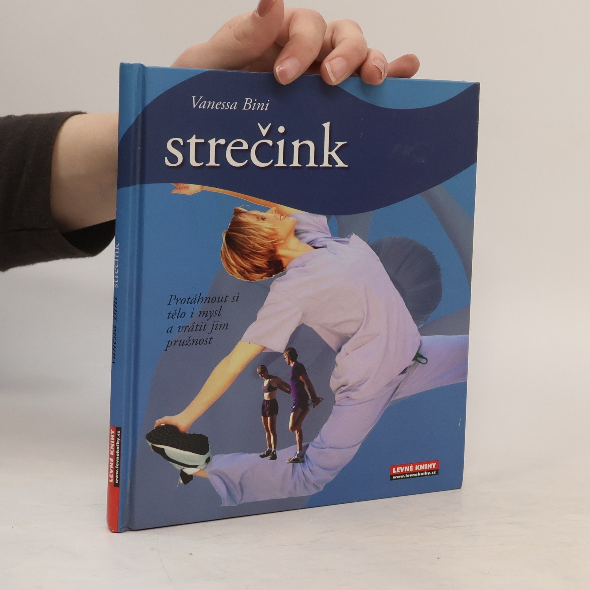 Vanessa Bini Strečink