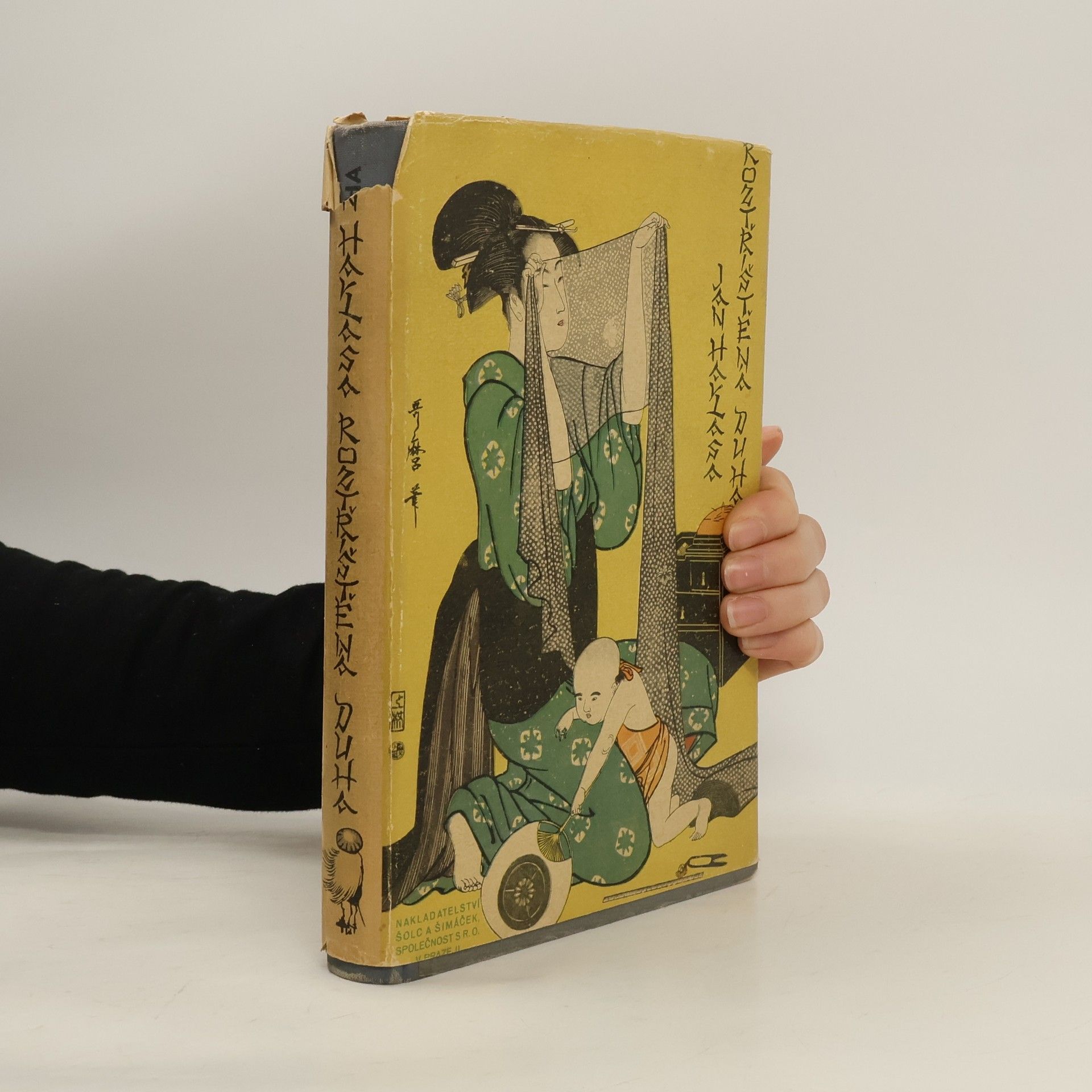 Jan Havlasa Roztříštěná duha. Kniha japonerií