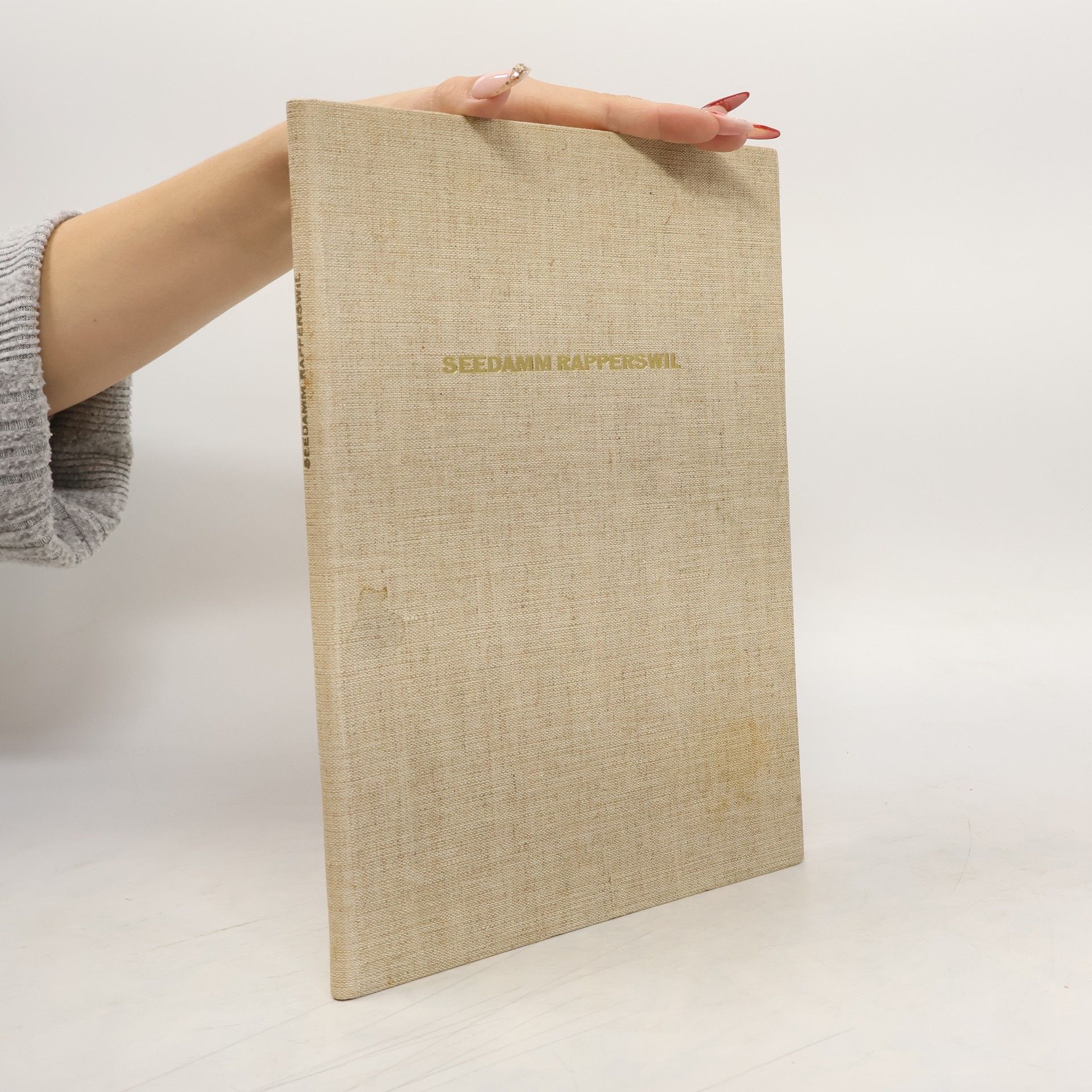 Autorenkollektiv Der seedamm- Umbau von Rapperswil