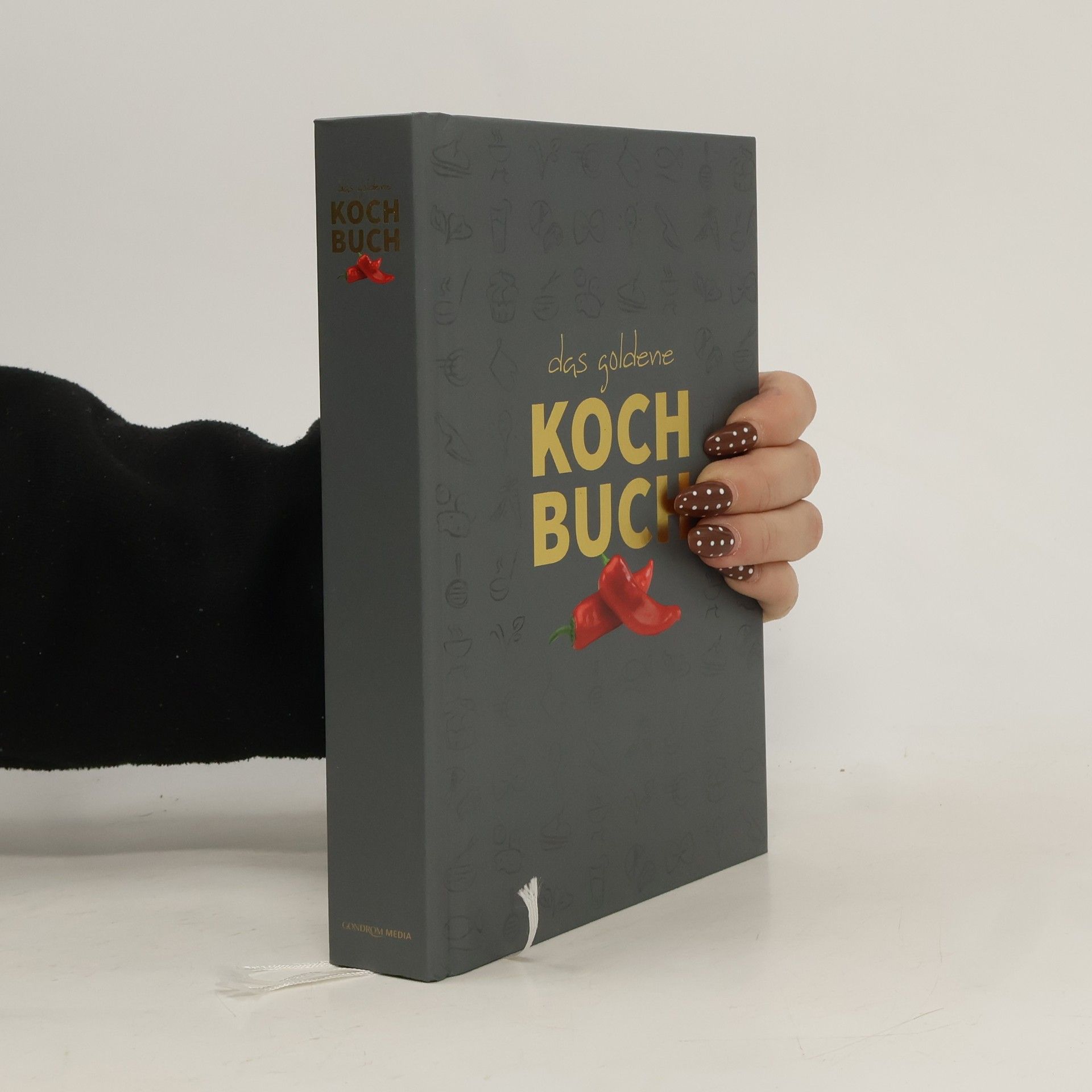 Rainer Meidinger Das goldene Kochbuch