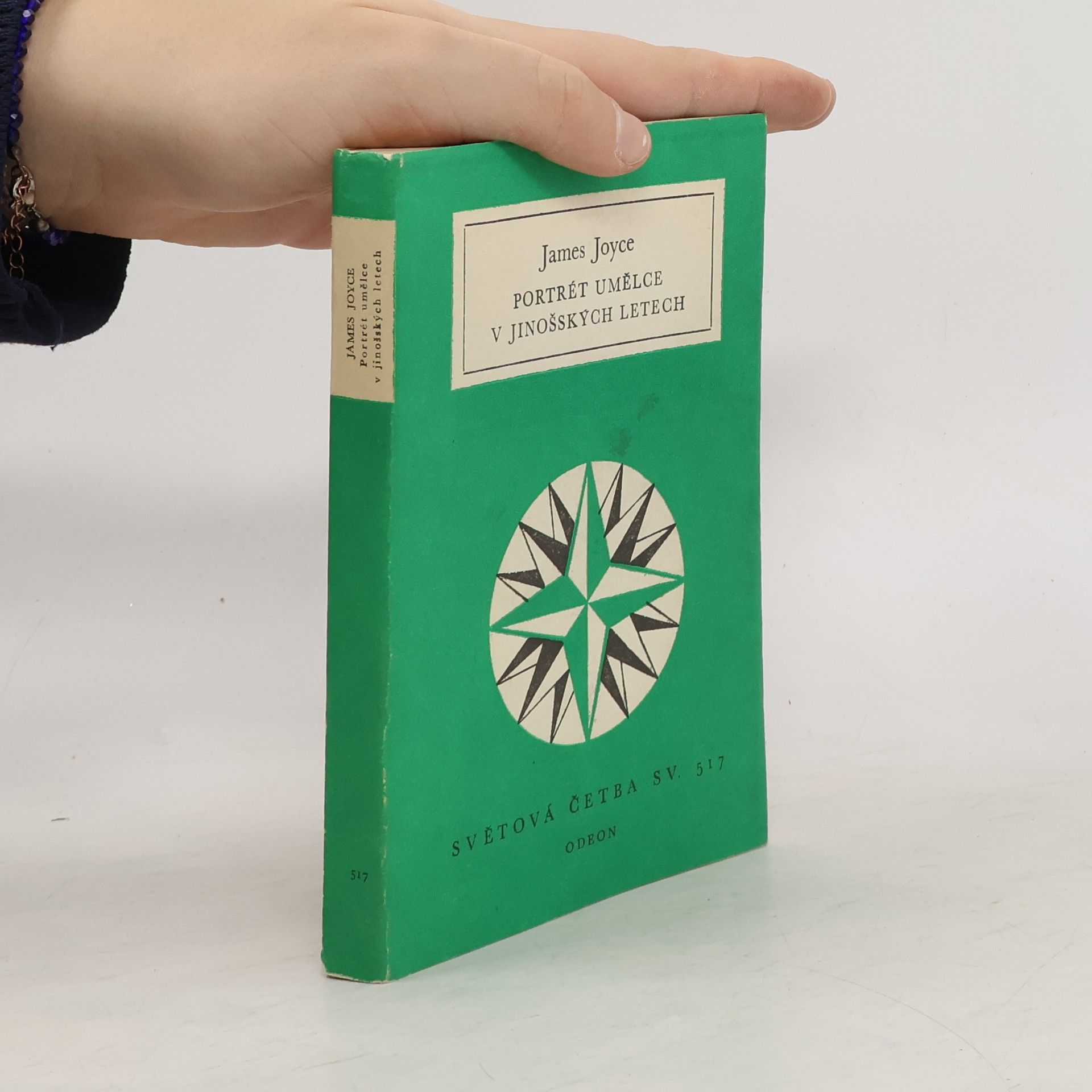 Portrét umělce v jinošských letech