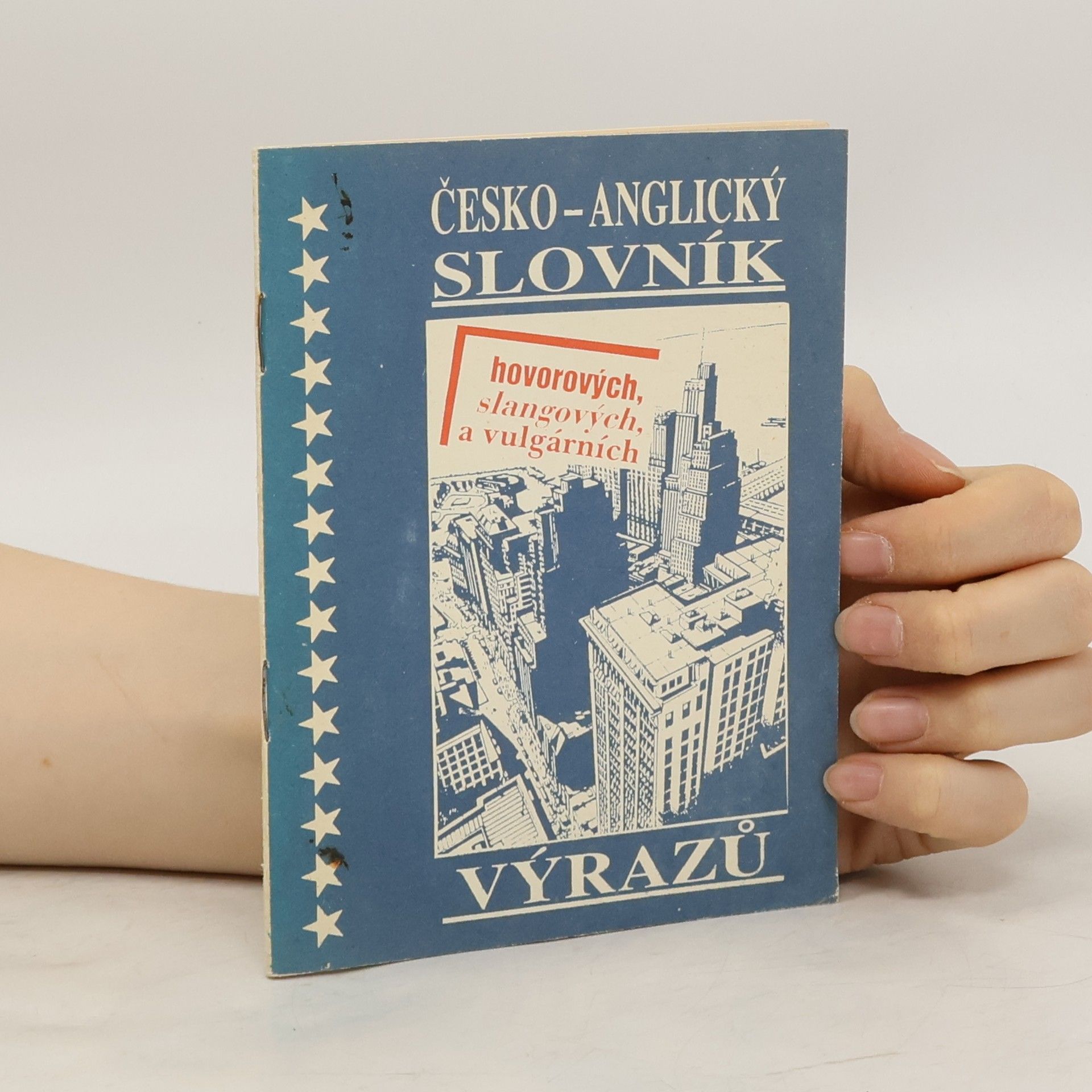 Collectif d'auteurs Česko-anglický slovník hovorových, slangových a vulgárních výrazů