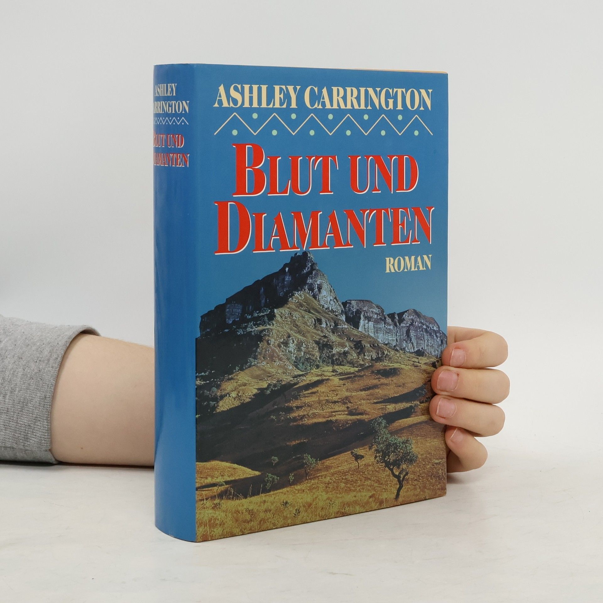 Rainer M. Schröder Blut und Diamanten