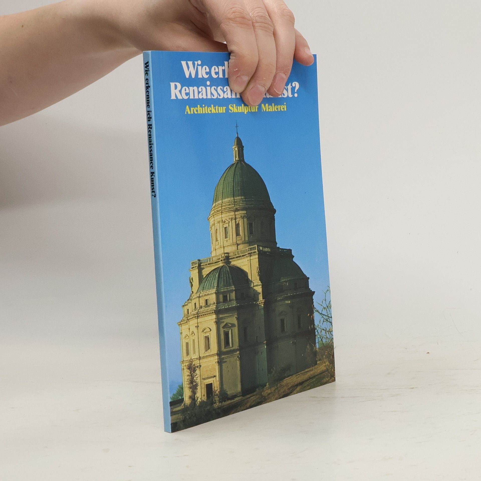 Collectif d'auteurs Wie erkenne ich Renaissance Kunst?