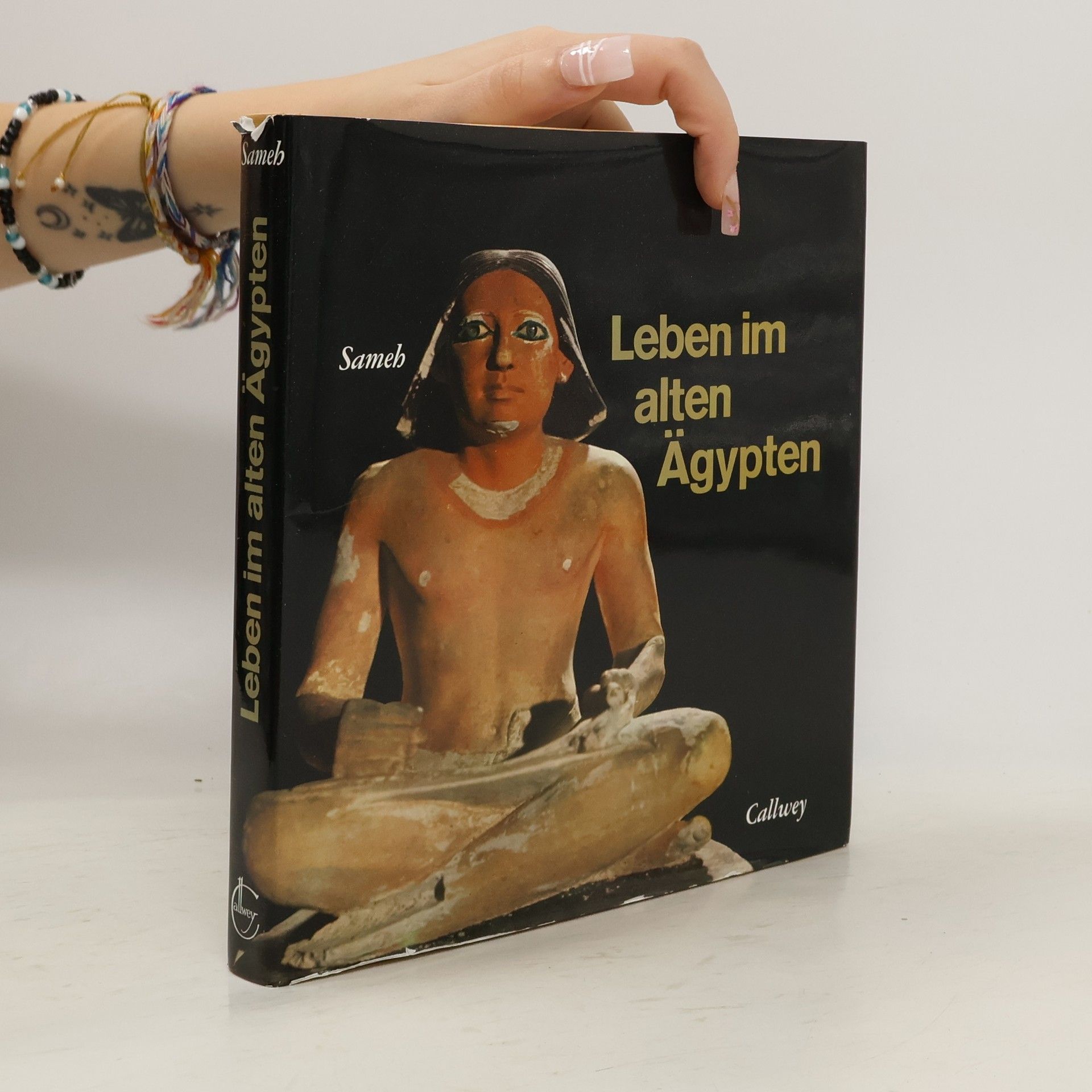 Waley-el-dine Sameh Leben im Alten Ägypten