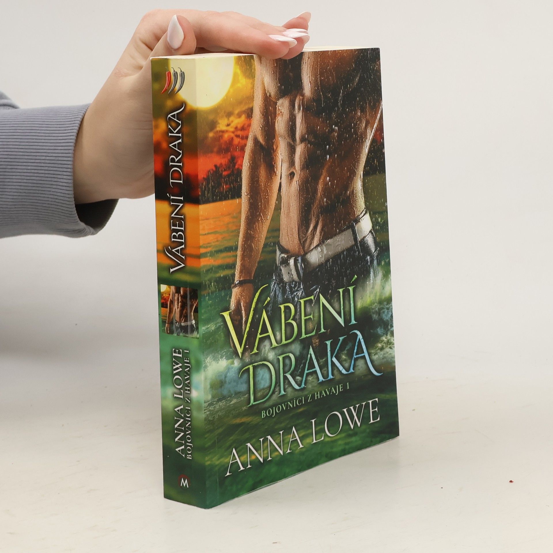 Bojovníci z Havaje 1: Vábení draka