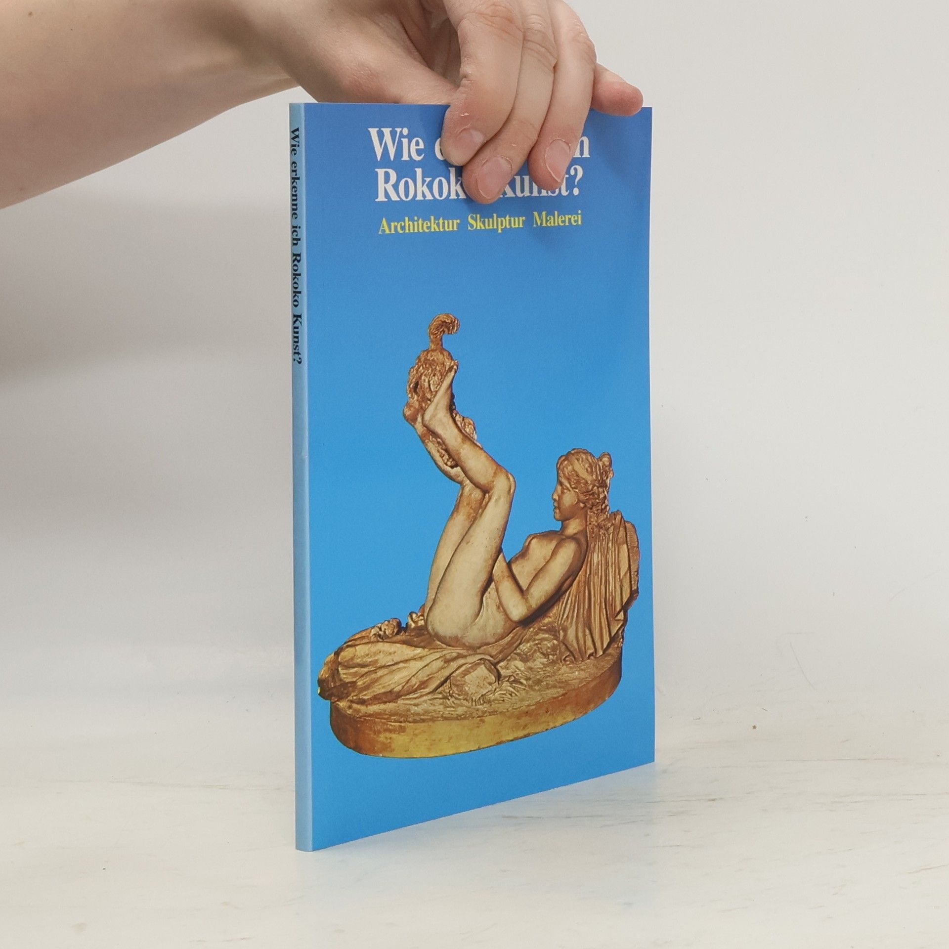 Kolektív autorov Wie erkenne ich Rokoko Kunst?