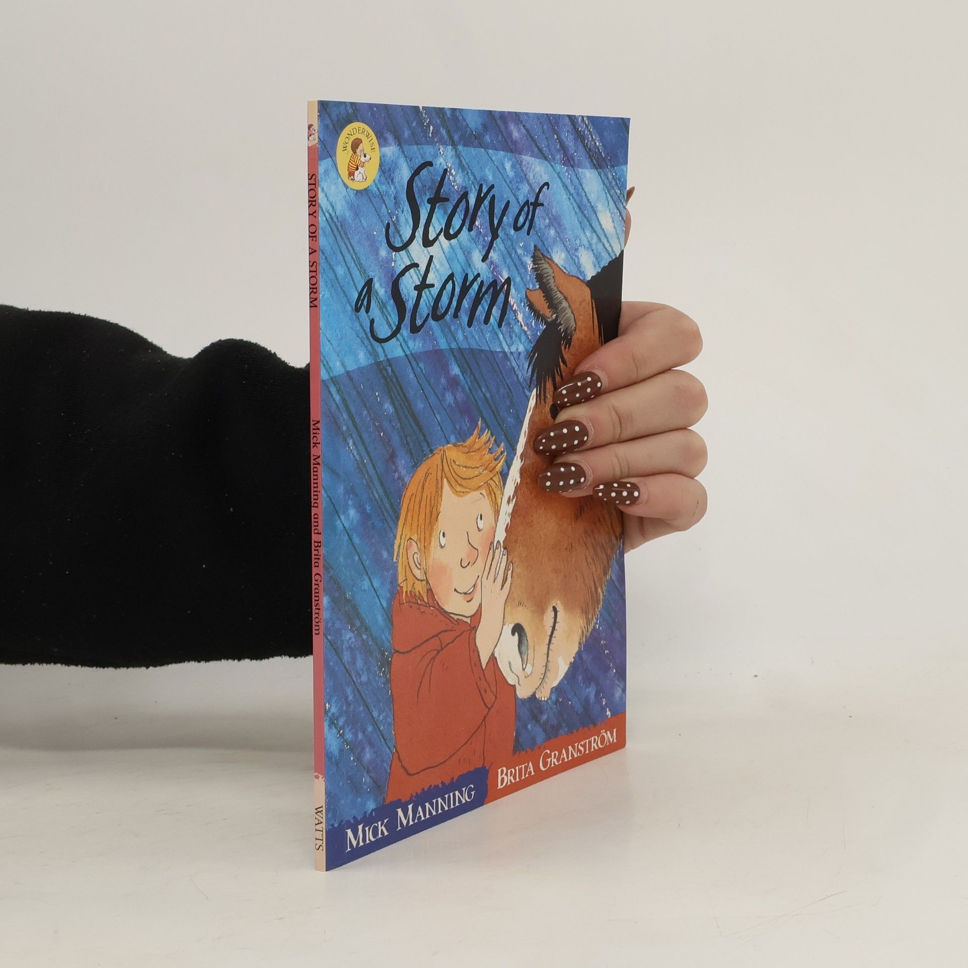 Mick Manning The Story of a Storm